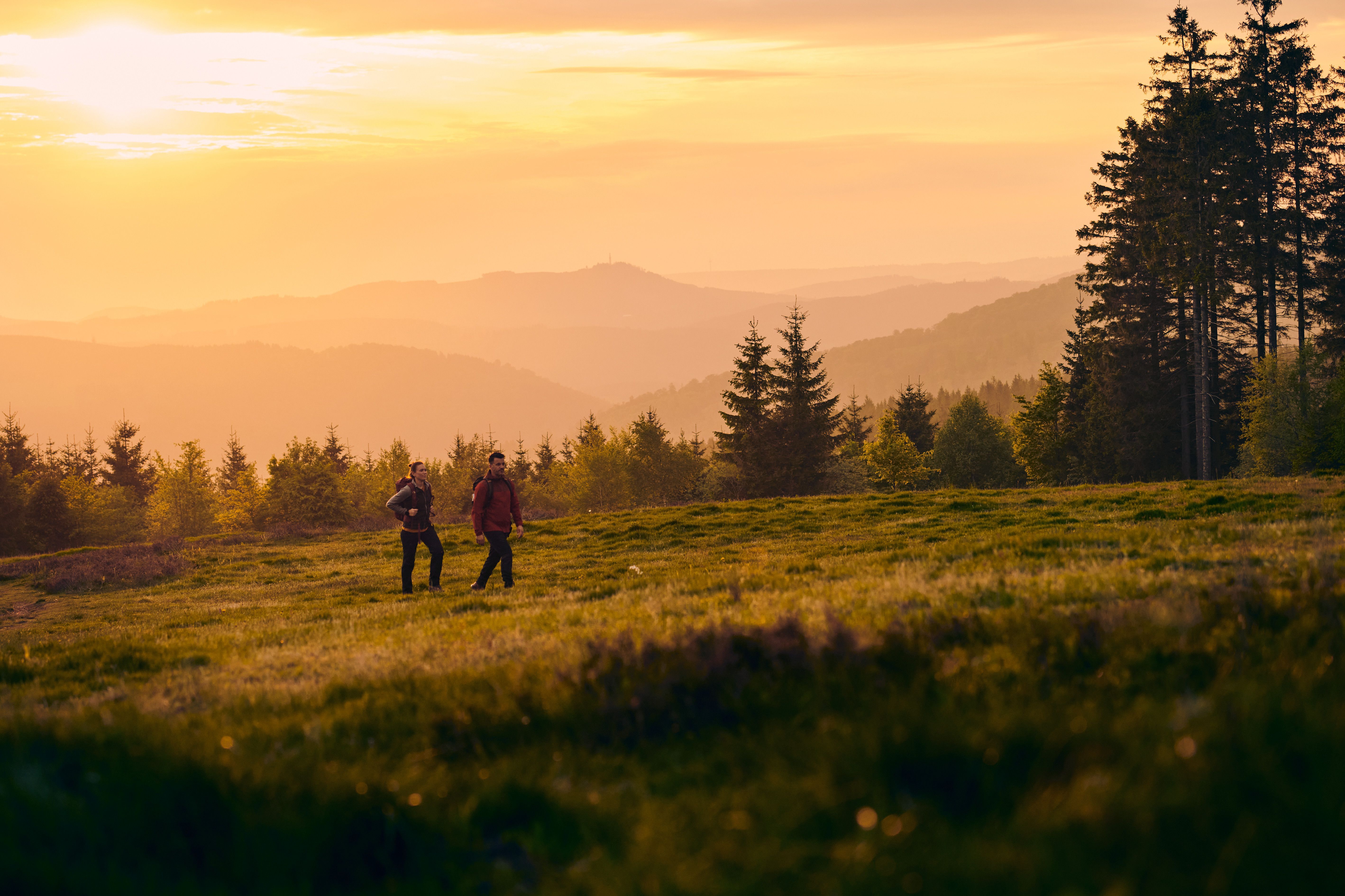Ein Pärchen wandert auf dem Rothaarsteig im Sauerland
