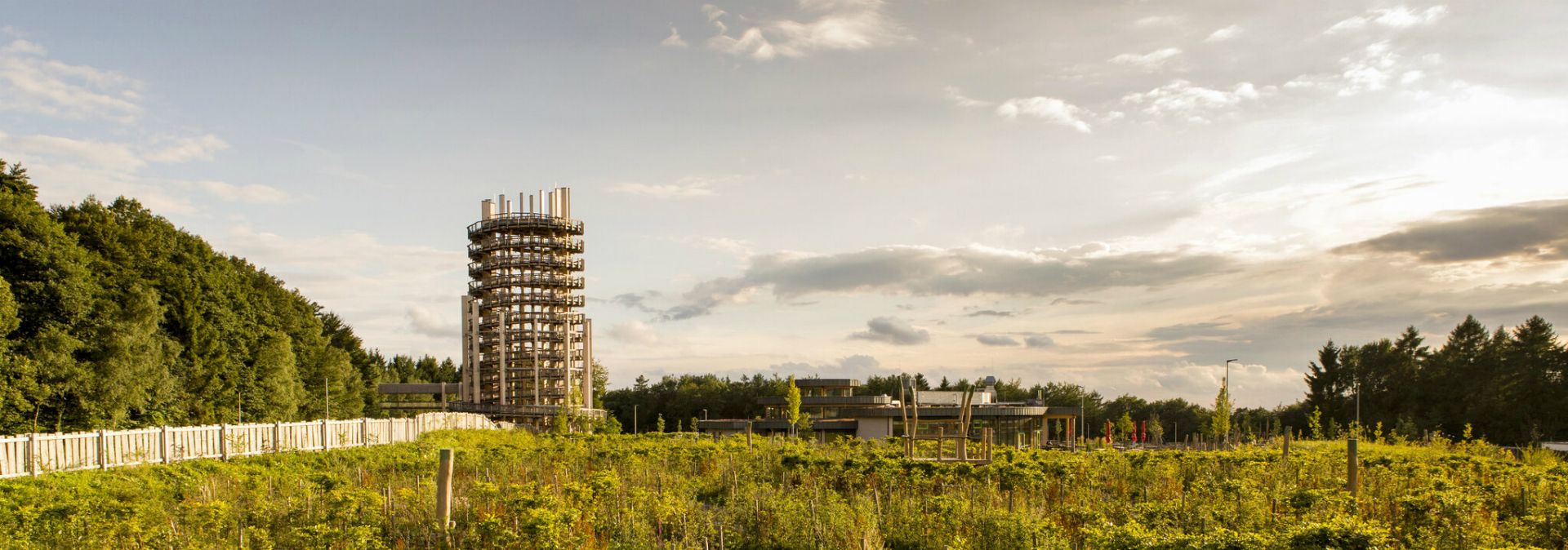 Ein hoher Aussichtsturm im Naturpark Panarbora, umgeben von grünen Wiesen und dichten Wäldern unter einem bewölkten Himmel.