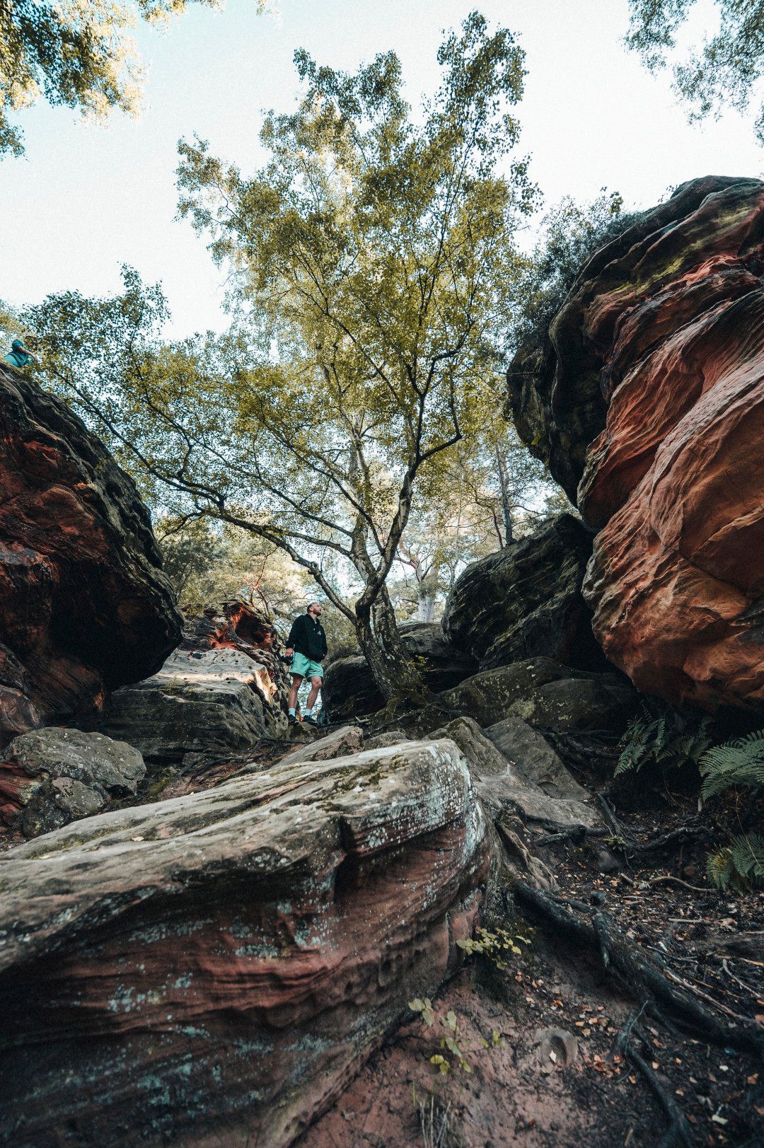Zur Seite Katzensteine