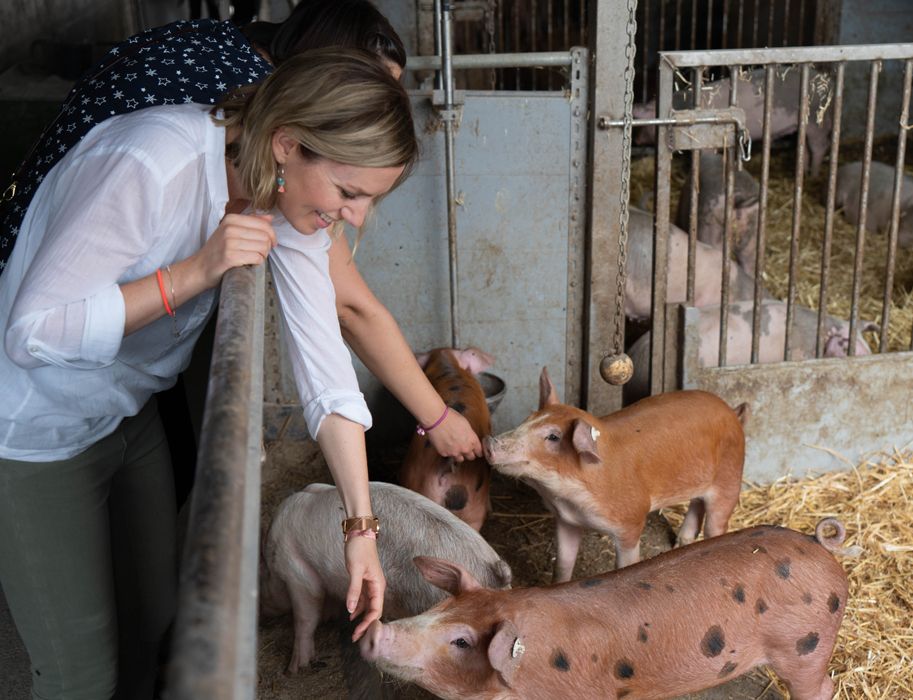 Zwei Frauen streicheln Ferkel in einem Stall.