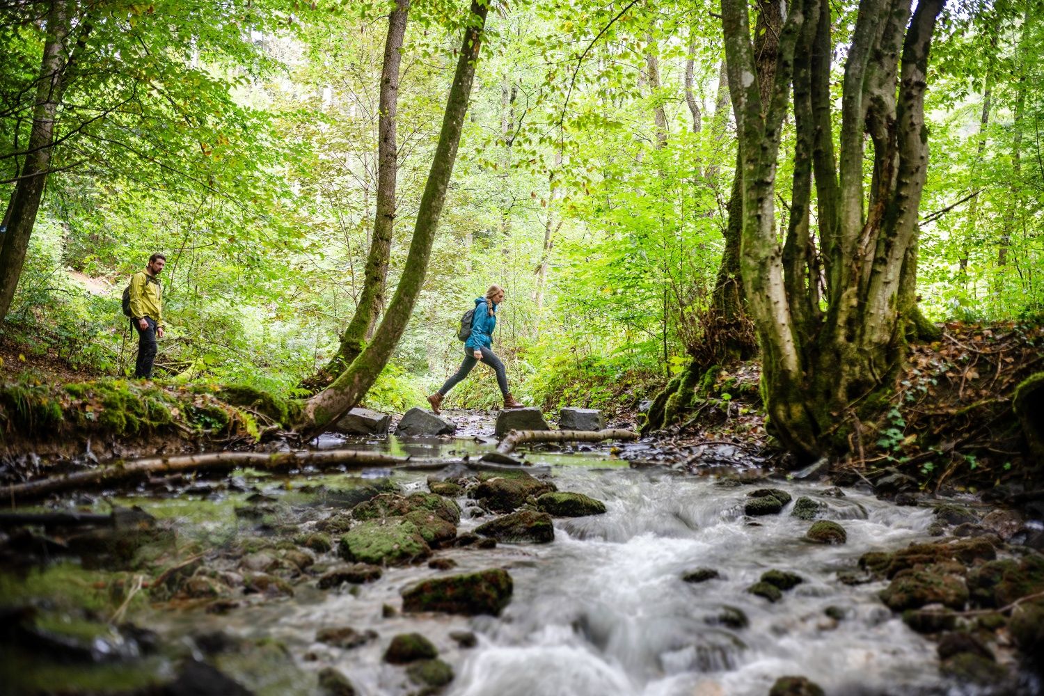 Wanderin überquert Wasserlauf auf dem Natursteig Sieg