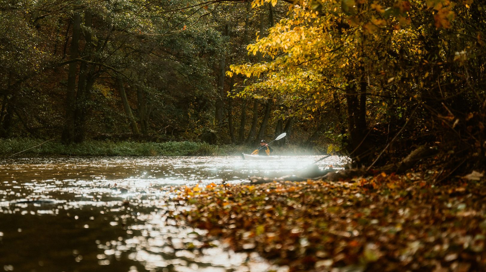 Person fährt Kayak auf Fluss Rur, Ufer gesäumt von herbstlichem Wald 