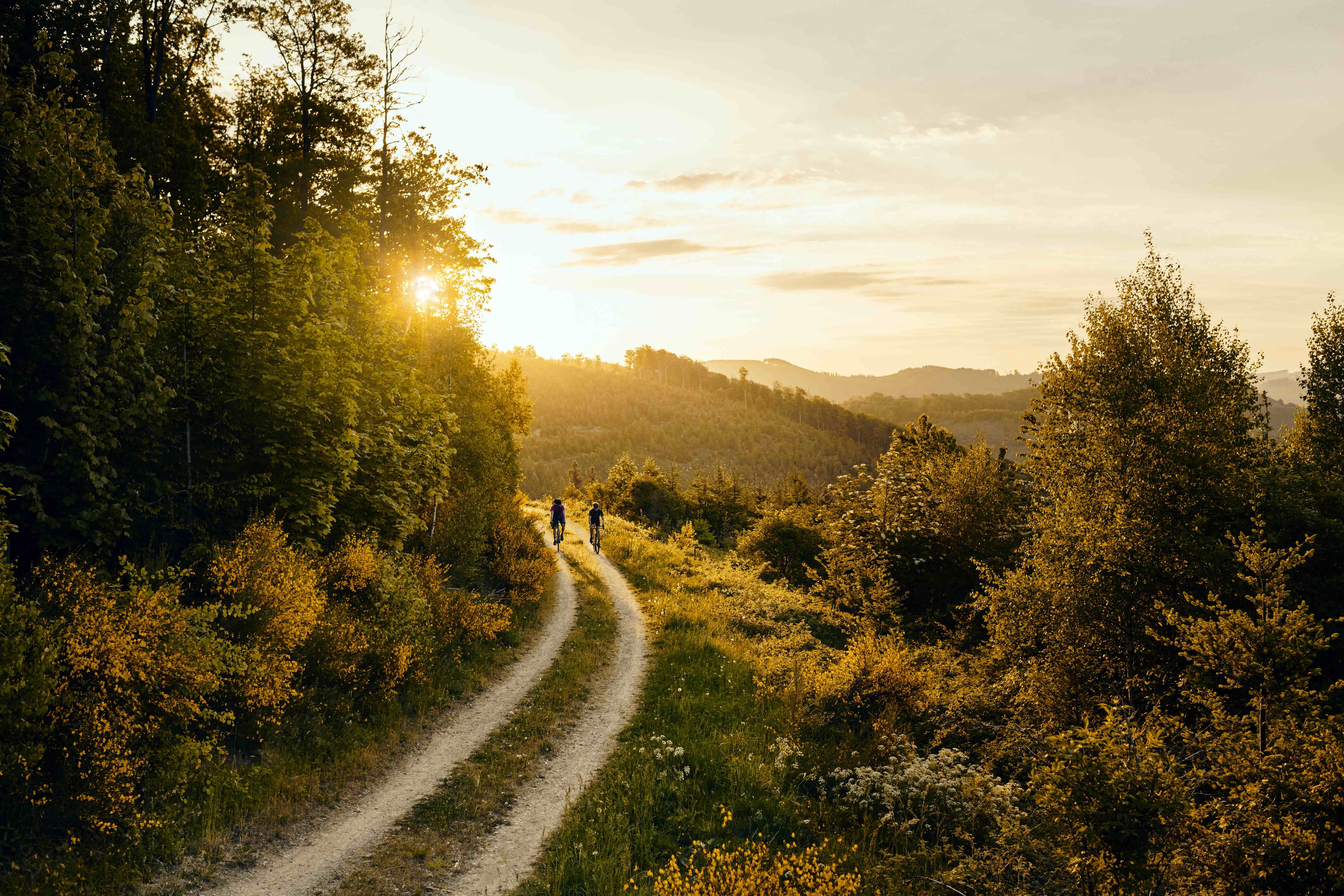 Gravelbike Sauerland am Abend