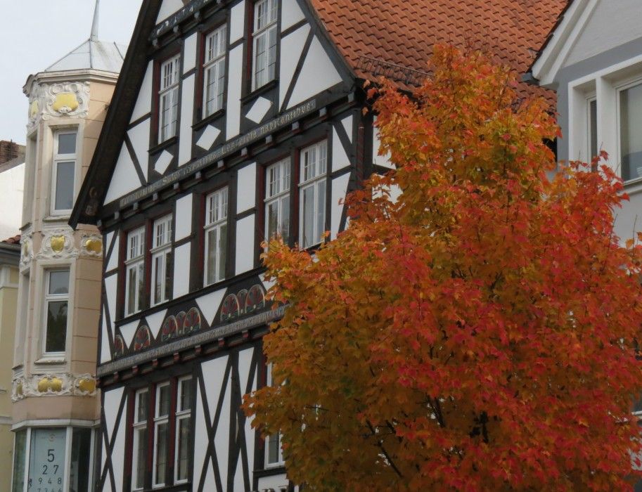 Fachwerkhaus in Detmold mit Herbstbaum im Vordergrund.