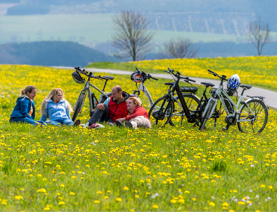 Gruppe von vier Personen sitzt auf einer Wiese mit gelben Blumen, neben ihnen stehen Fahrräder. Sie genießen die Natur im Sauerland.