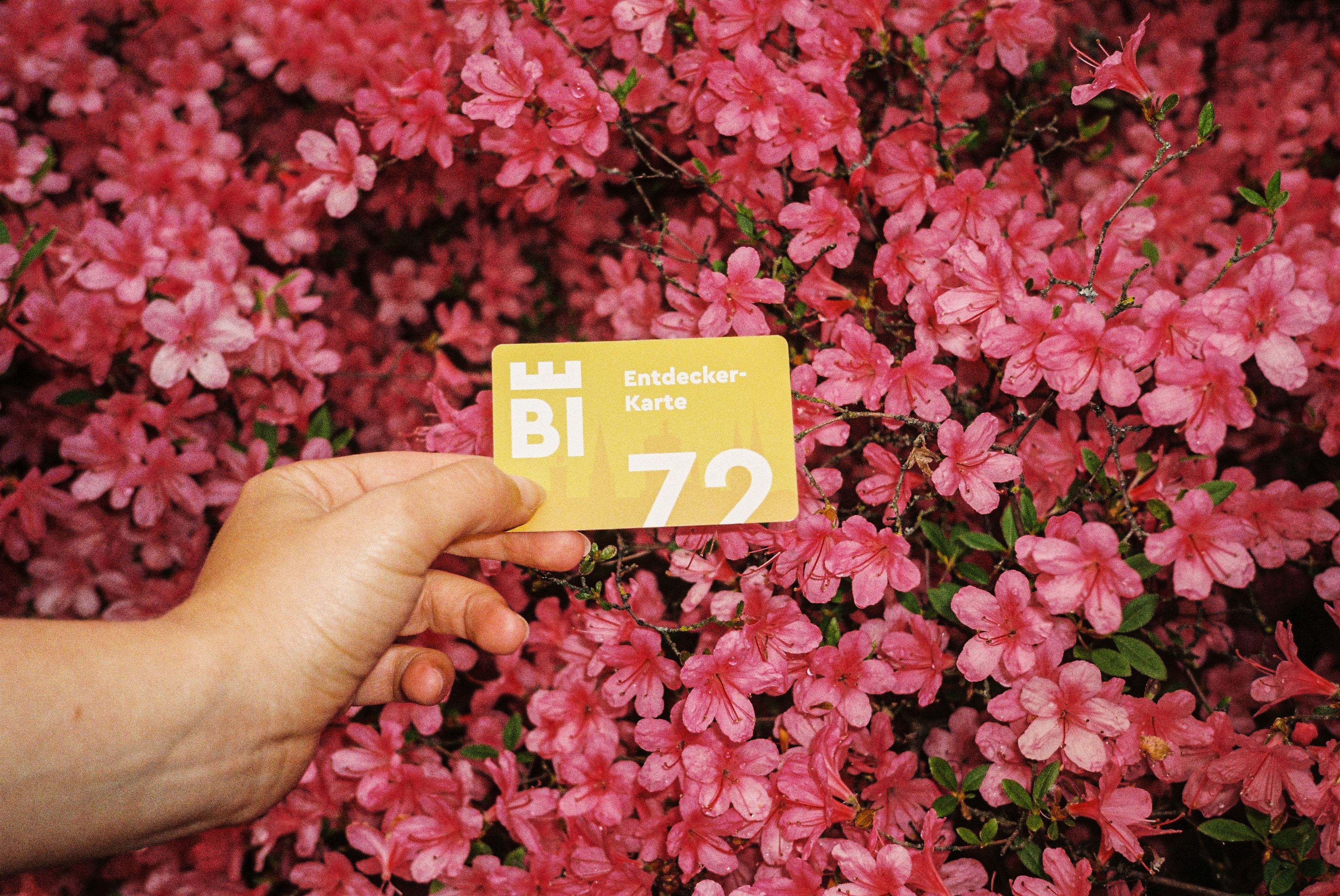 Molle&Korn, Henri Schade, Entdecker Karte mit einer Blumenwiese im Hintergrund in Bielefeld.