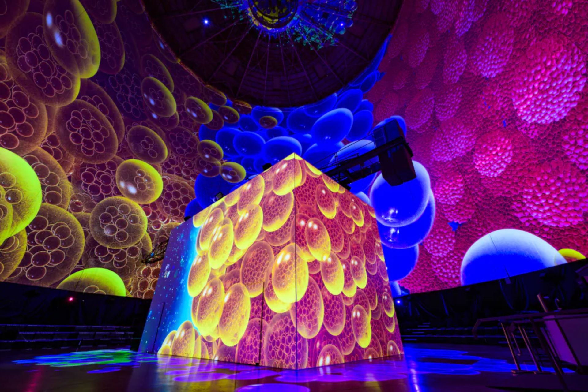 Die „ORIGINS“-Show verspricht eine Reise zum Ursprung allen Lebens