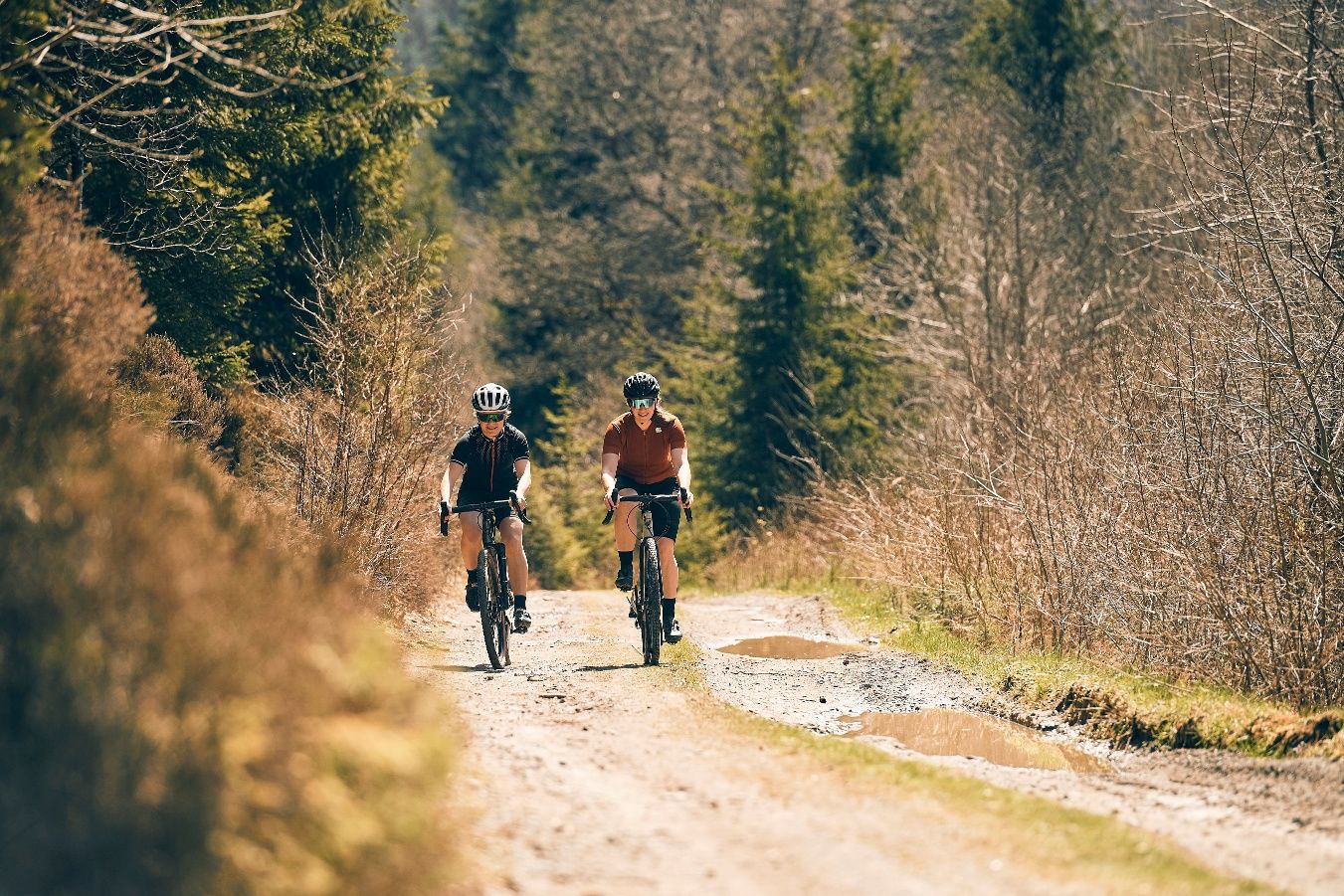 Zwei Personen fahren mit Gravelbikes auf einem Waldweg.