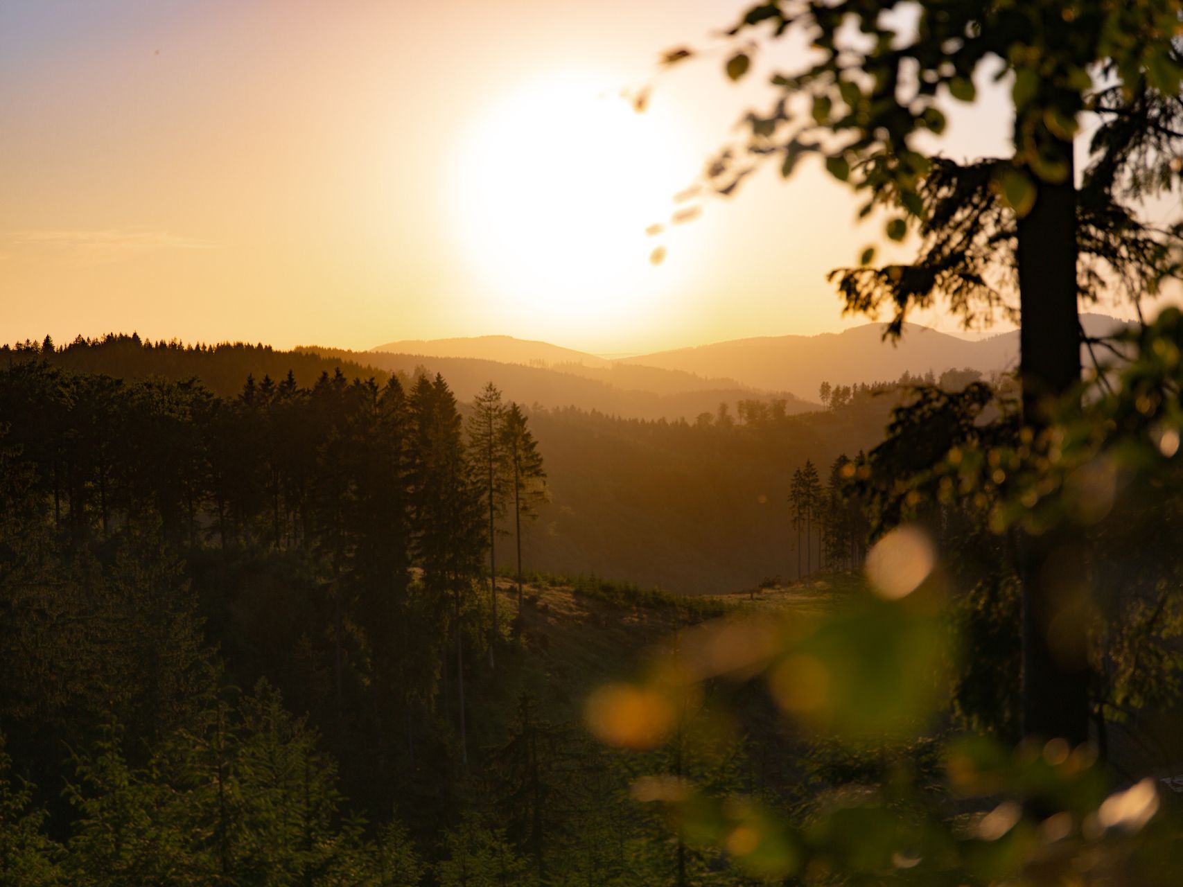 Abenddämmerung Naturpark Sauerland Rothaargebirge