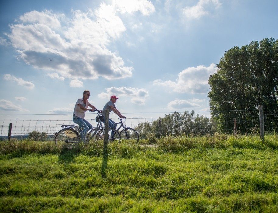 Zwei Personen fahren bei sonnigem Wetter auf einem Radweg entlang eines Zauns