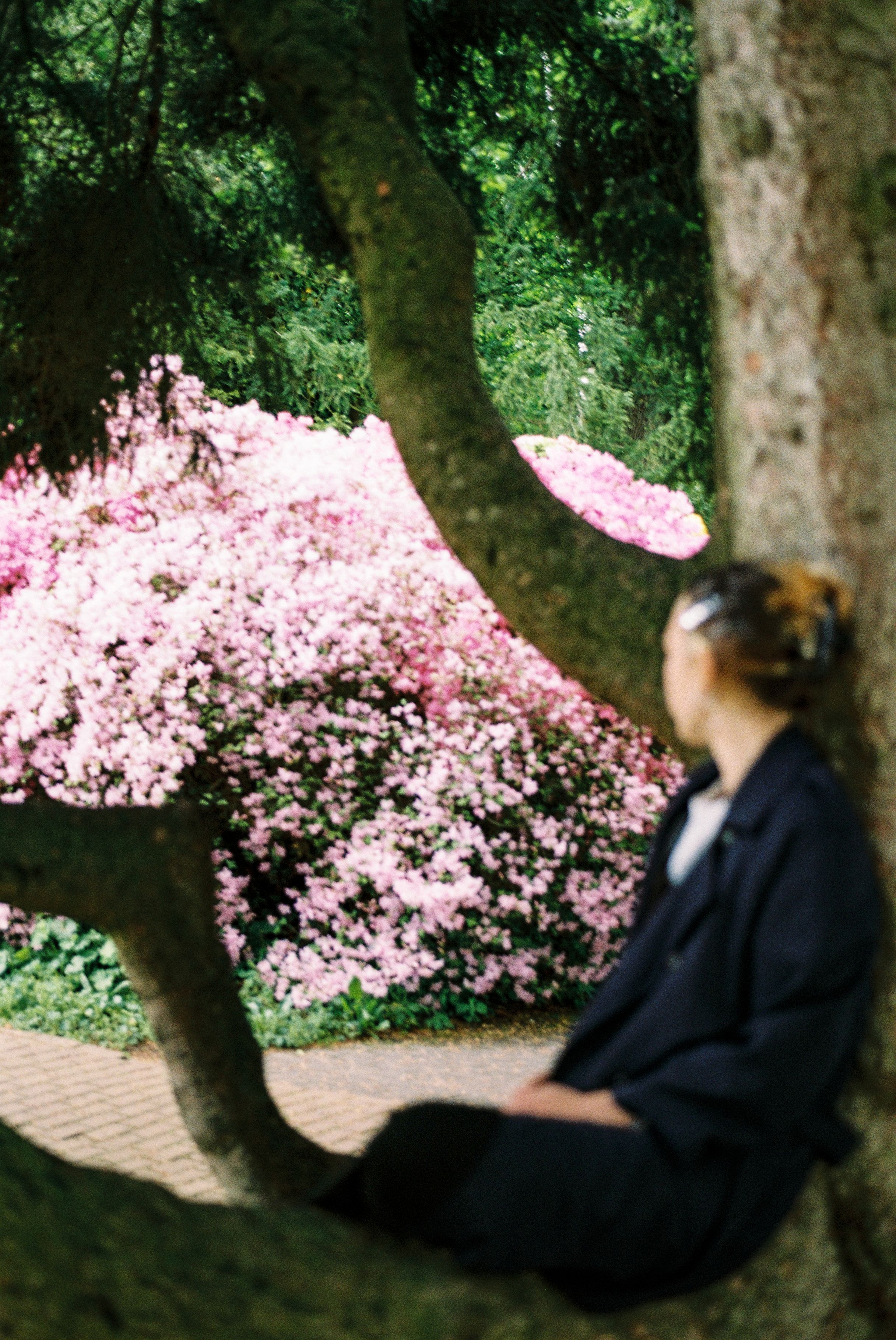 Eine Frau sitzt vor einem blühenden Kirchbaum im botanischen Garten in Bielefeld.