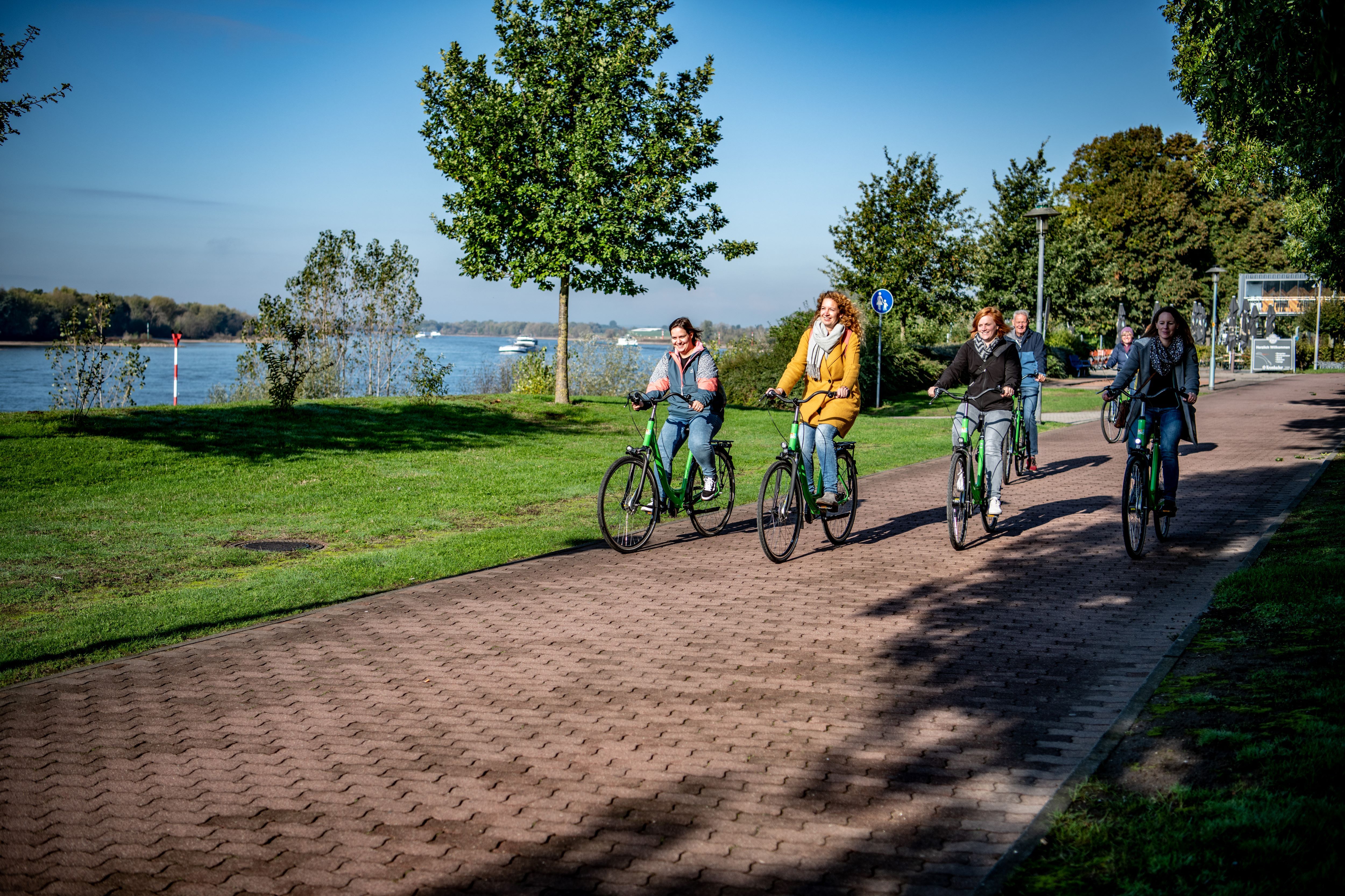 Eine Gruppe von Radfahrern fährt bei sonnigem Wetter auf dem Hanseradweg und genießt die Atmosphäre