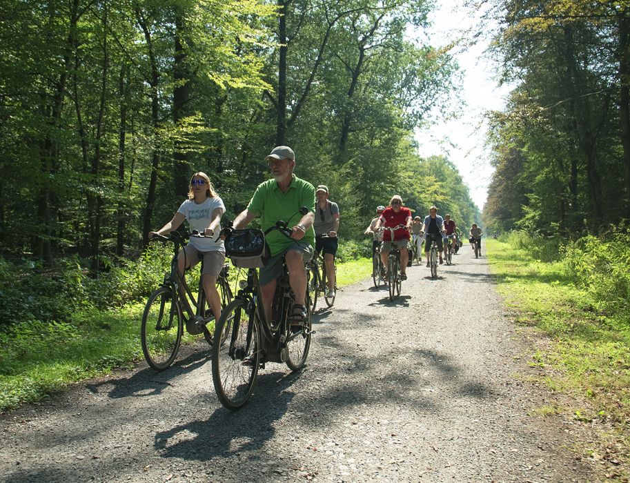 Gruppe von Radfahrern auf einem Waldweg bei Sonnenschein.
