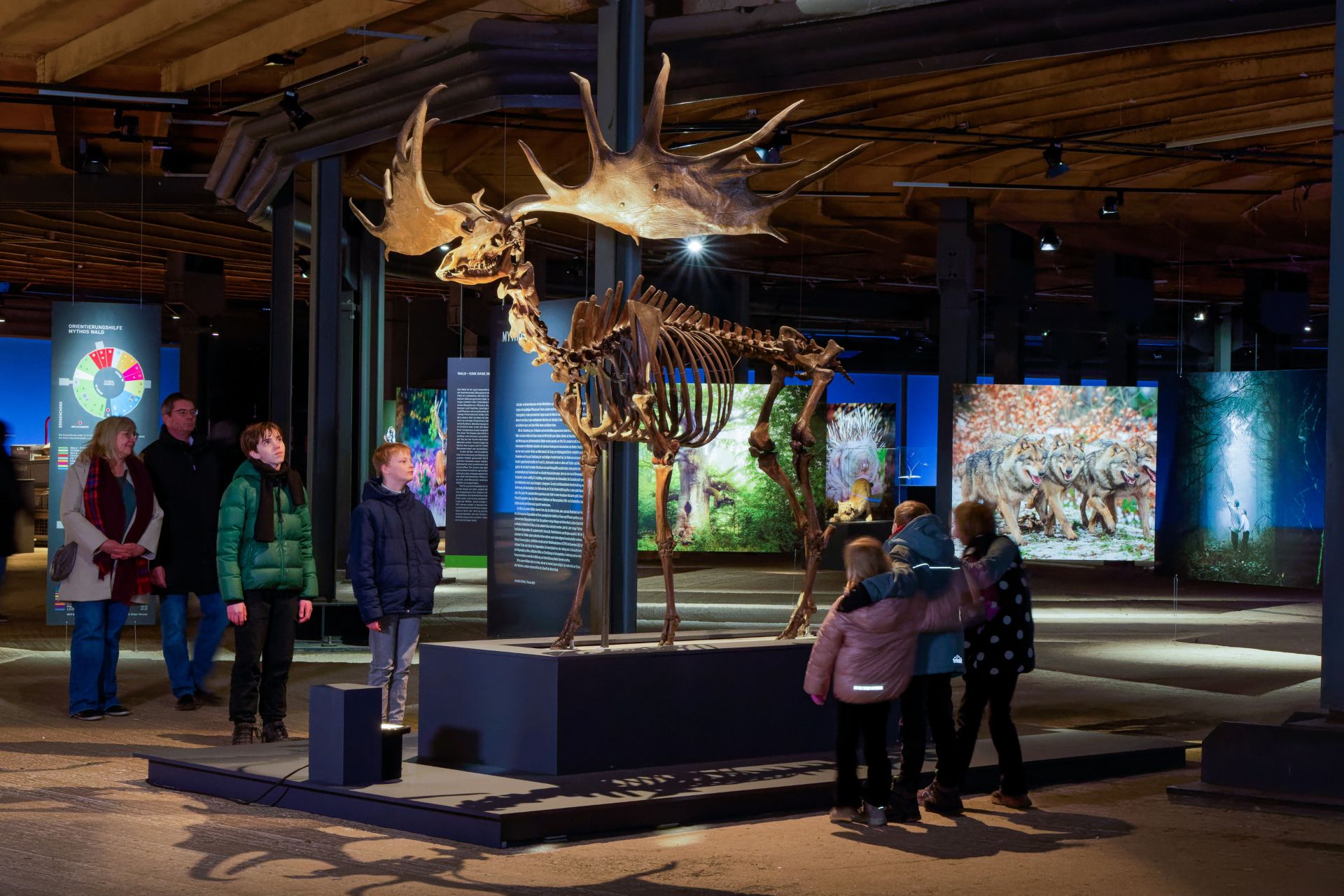 Auch das Skelett eines urzeitlichen Riesenhirsches können Besuchende in der Ausstellung Mythos Wald bewundern