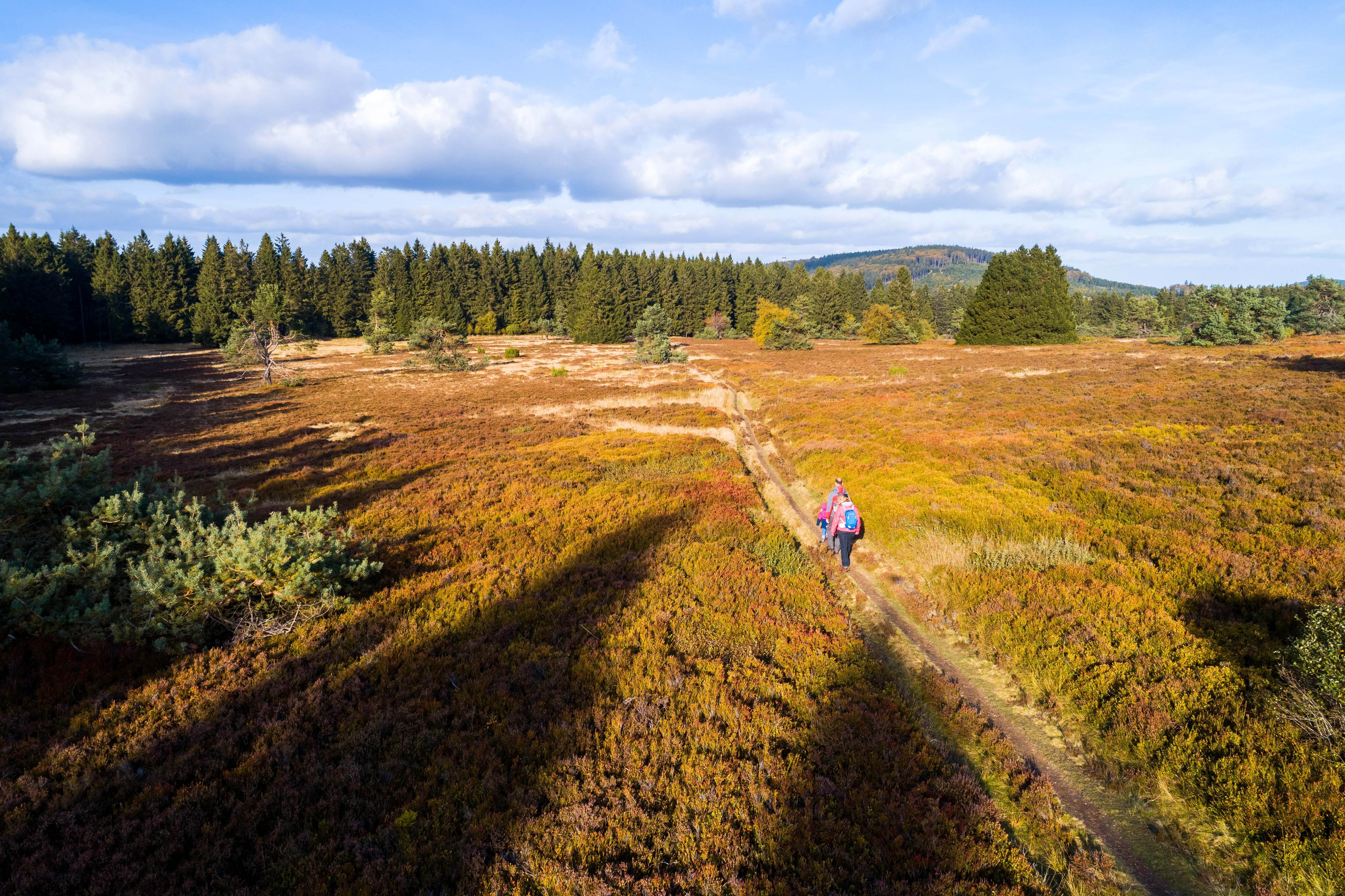 Luftbild von Familie, die über die Hochheide wandert