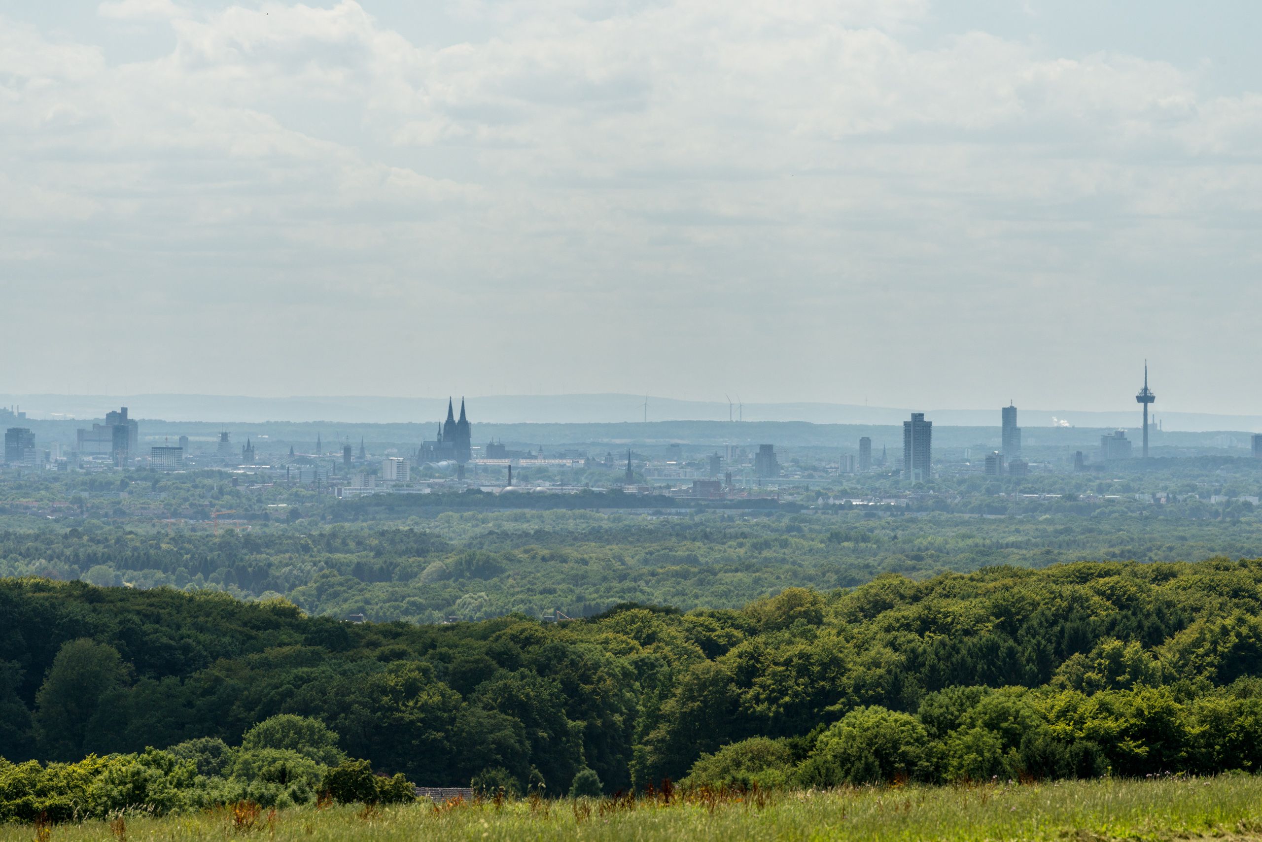 Blick auf Köln mit Dom und Fernsehturm im Hintergrund, Wälder im Vordergrund.