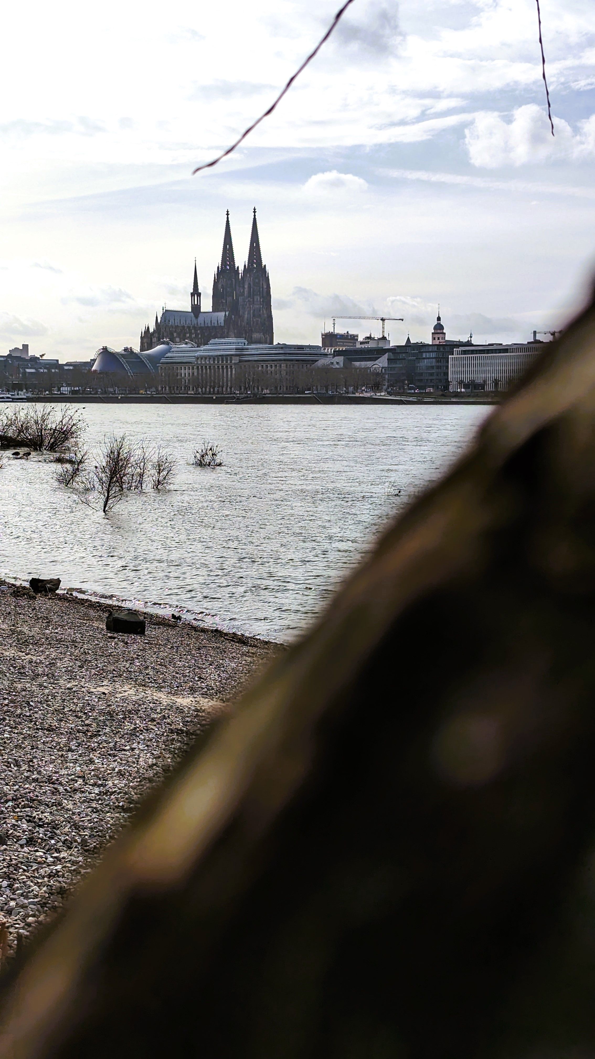 Von der Uferpromenade im Rheinpark ist der Kölner Dom gut auszumachen