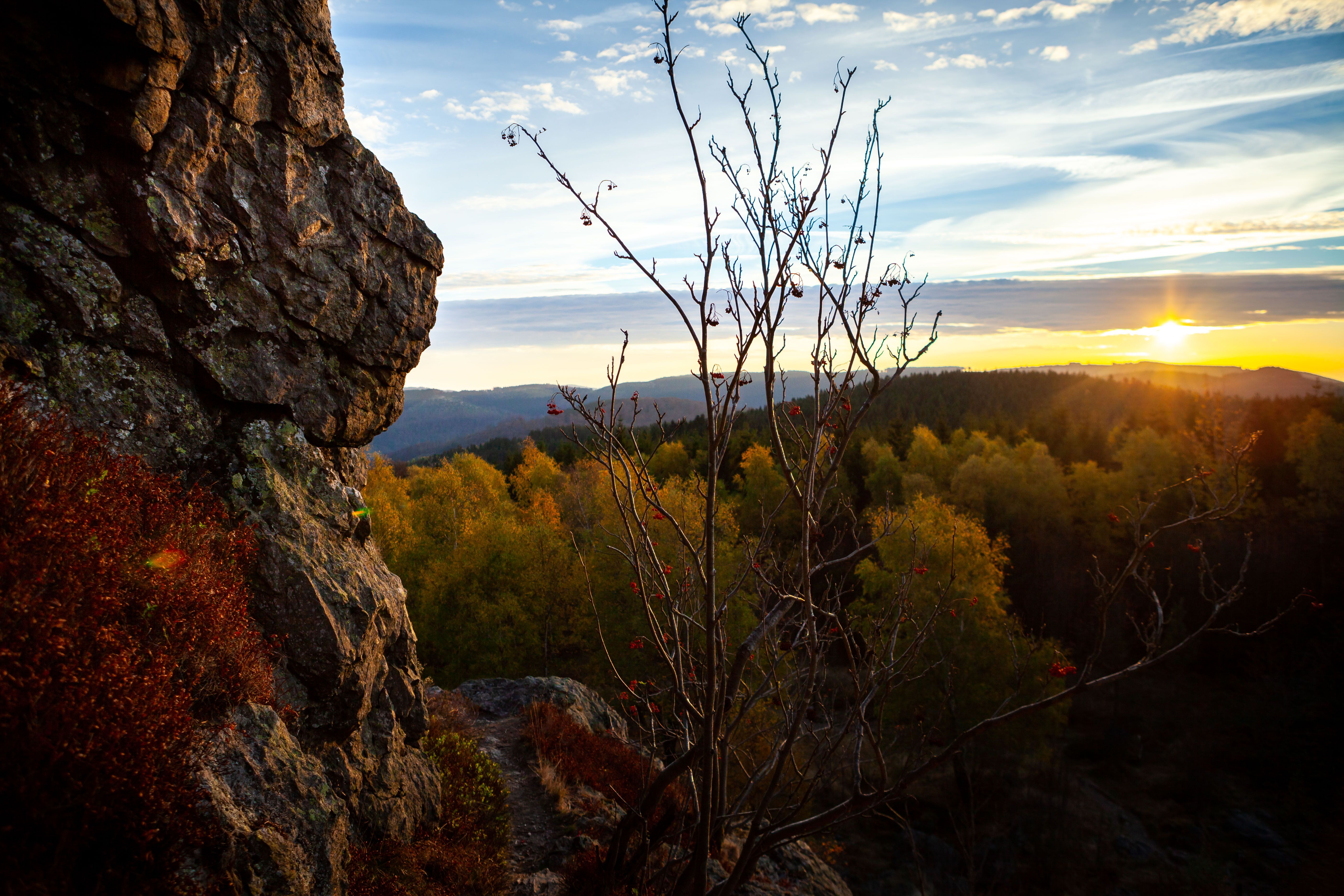 Felsformation bei Sonnenuntergang mit Baum im Vordergrund und bewaldeter Landschaft im Hintergrund.