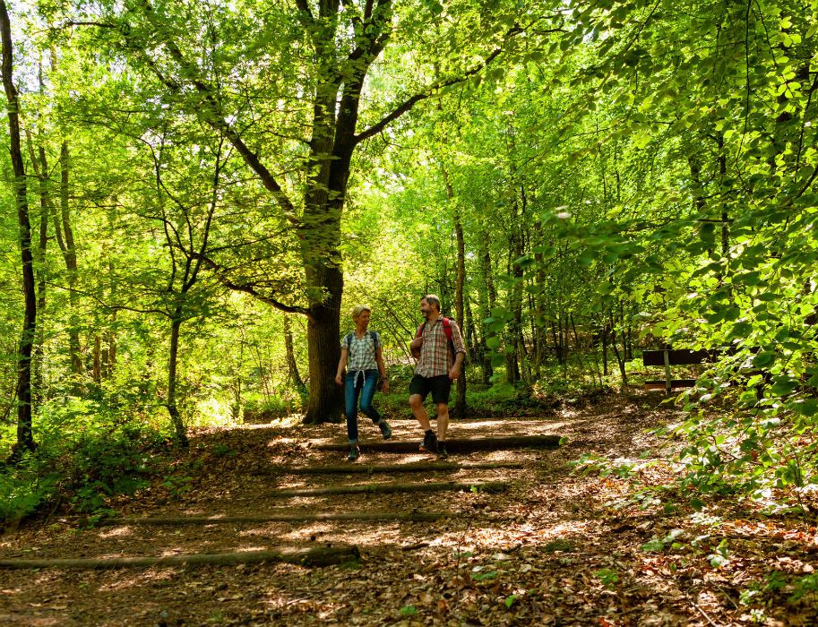 Zwei Wanderer gehen auf einem Waldweg im Niederrhein, umgeben von grünen Bäumen.