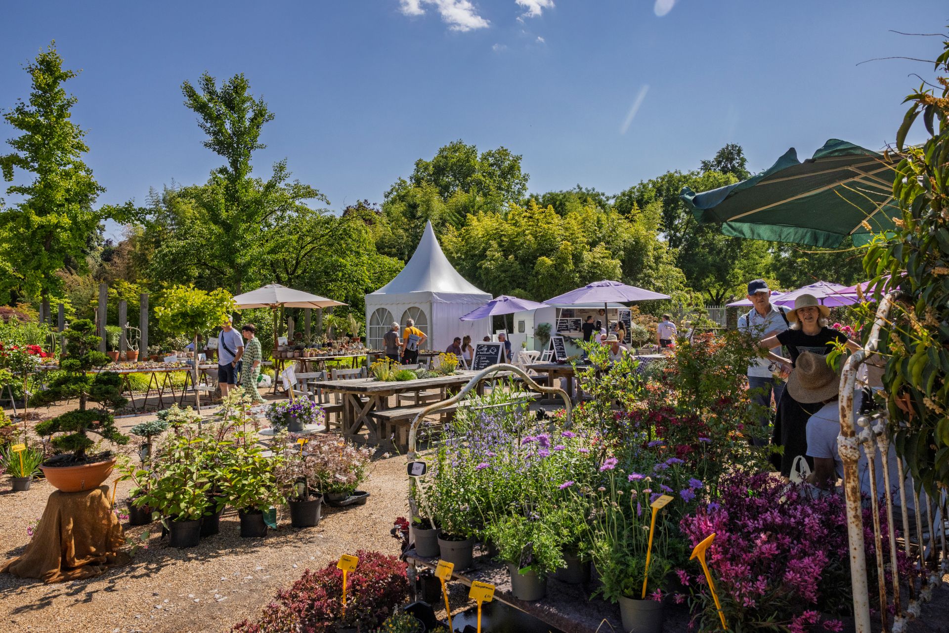 Gäste nehmen bei der Gartenlust Schloss Dyck Saatgut und Pflanzenraritäten mit