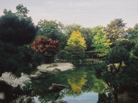 Japanischer Garten, © Johannes Höhn