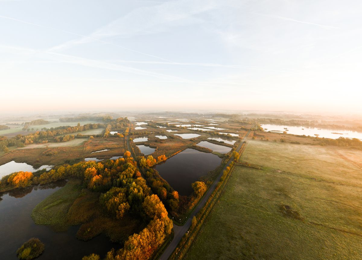 Riselfelder bei Münster aus der Vogelperspektive