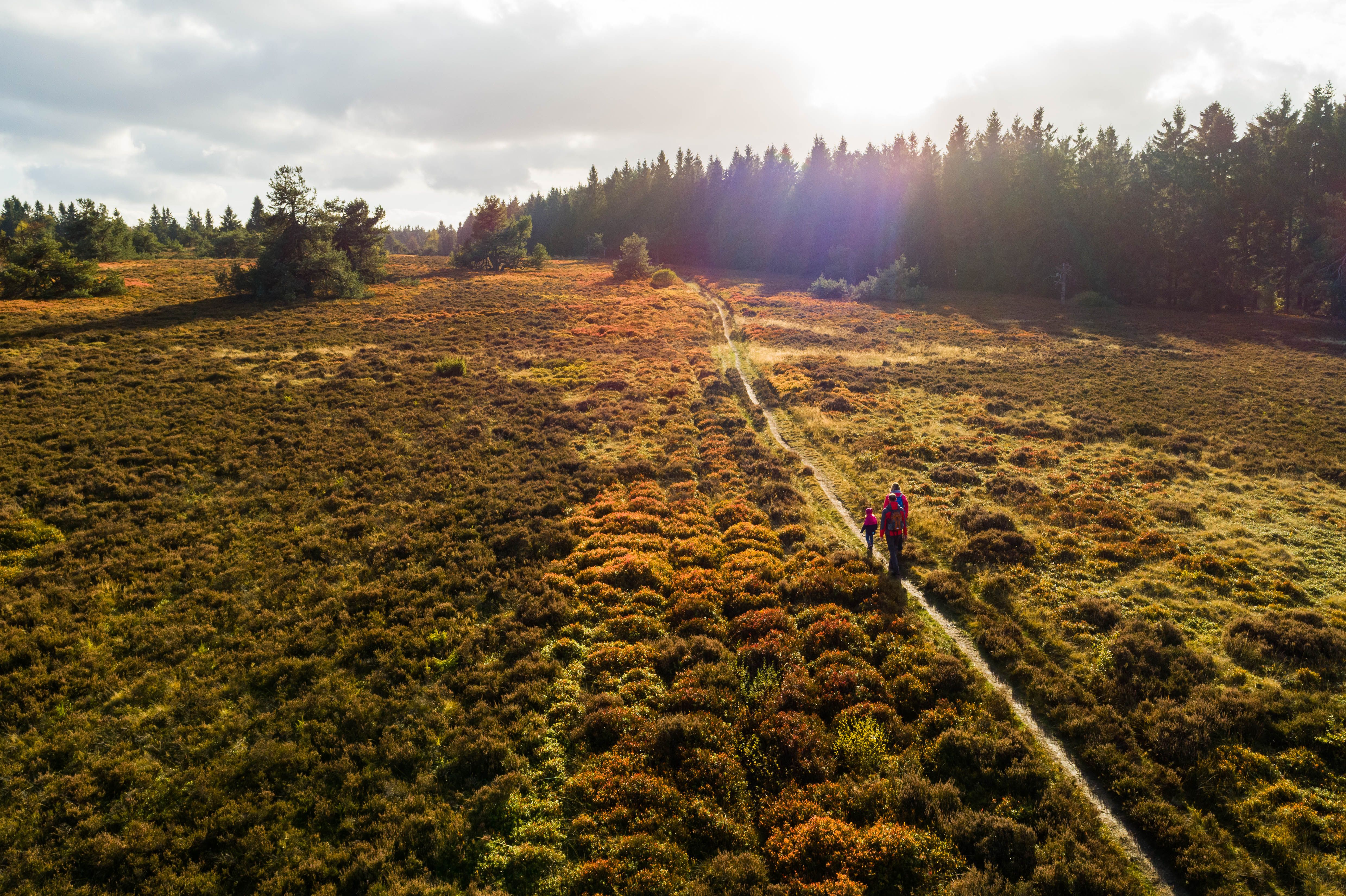 Sauerland Winterberg-Niedersfeld, Goldener Pfad