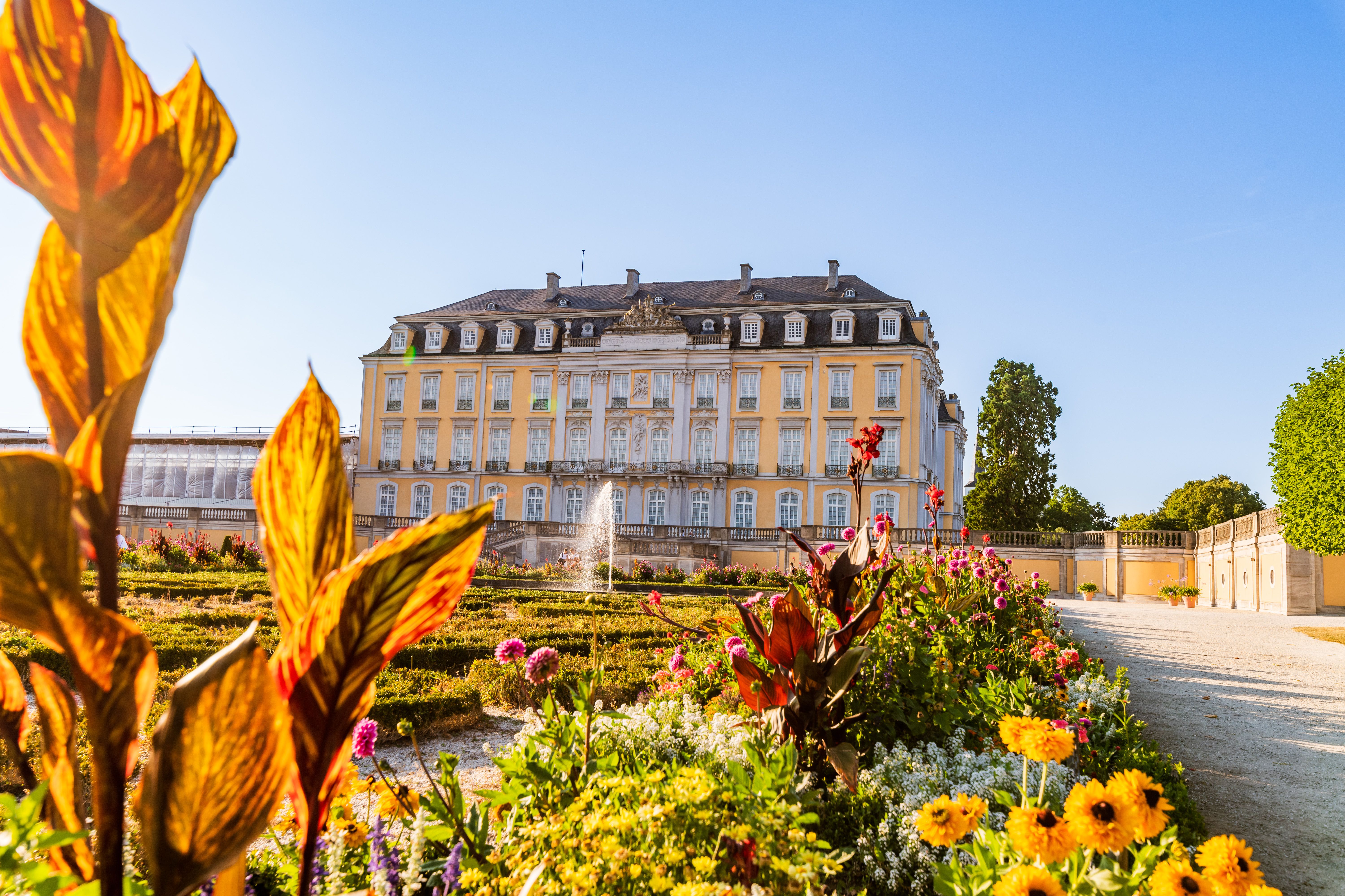 Schloss Augustusburg in der Sonne, umgeben von einem blühenden Garten mit bunten Blumen und einem Springbrunnen im Vordergrund.
