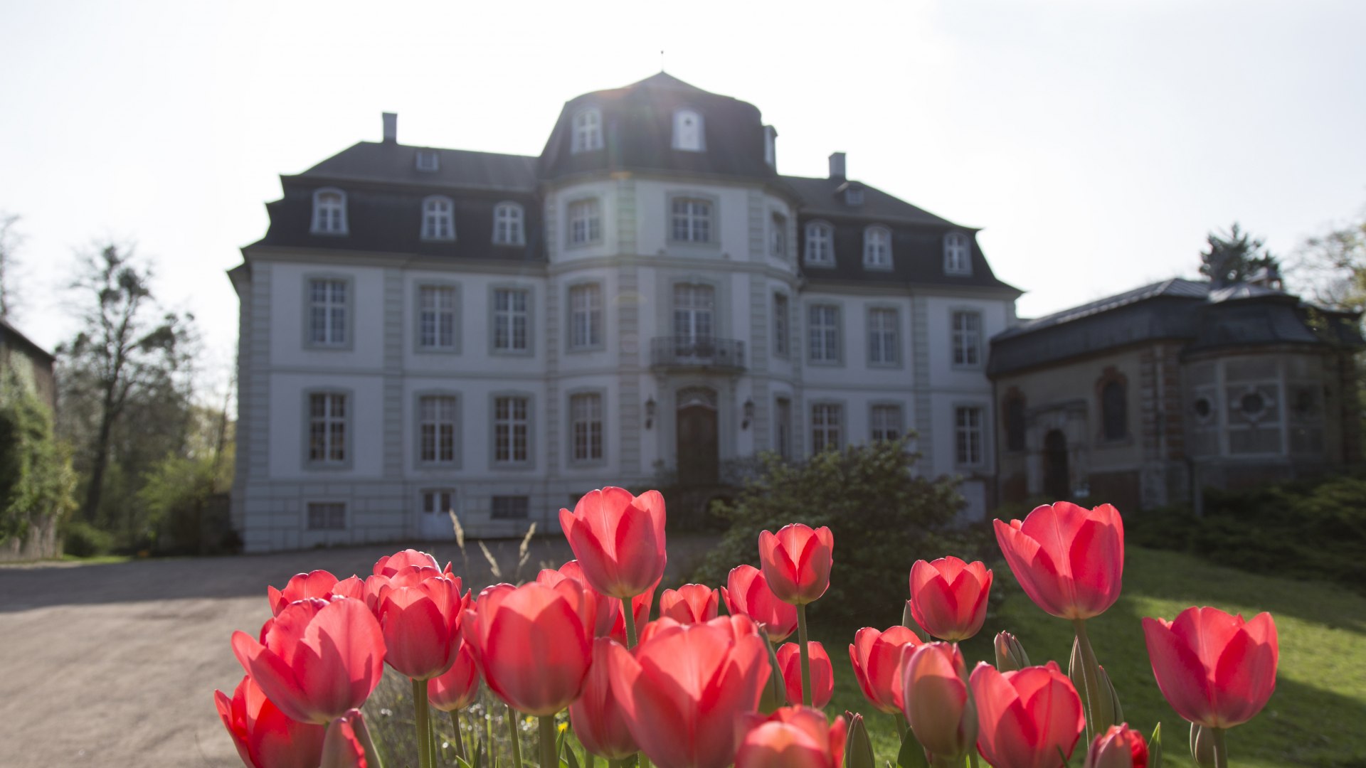 Frühling am Schloss: rote Tulpen blühen vor dem Schlossportal, © Ralph Sondermann, Tourismus NRW e.V.