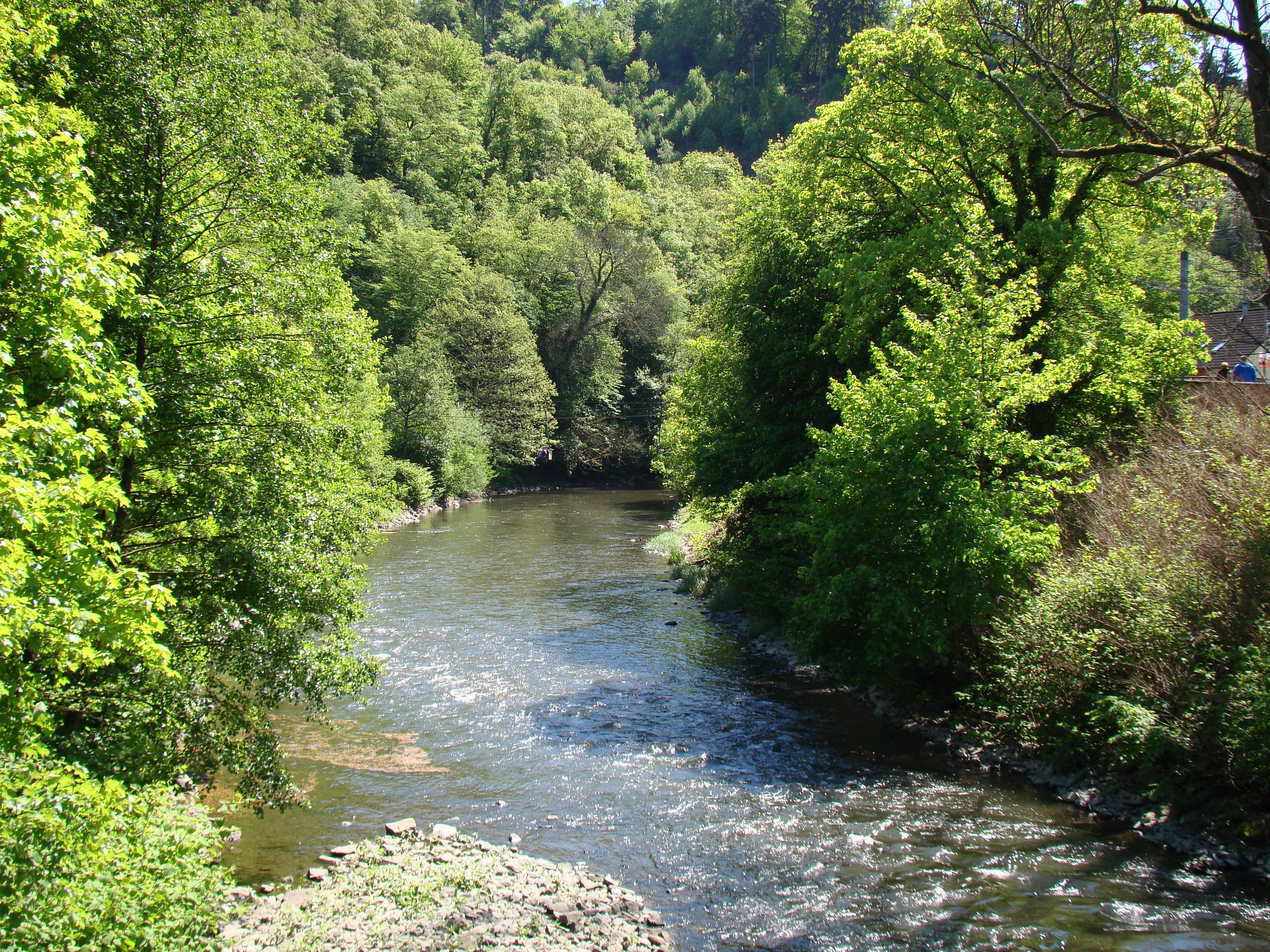 Fluss Wupper in Solingen-Burg, umgeben von grünen Bäumen.