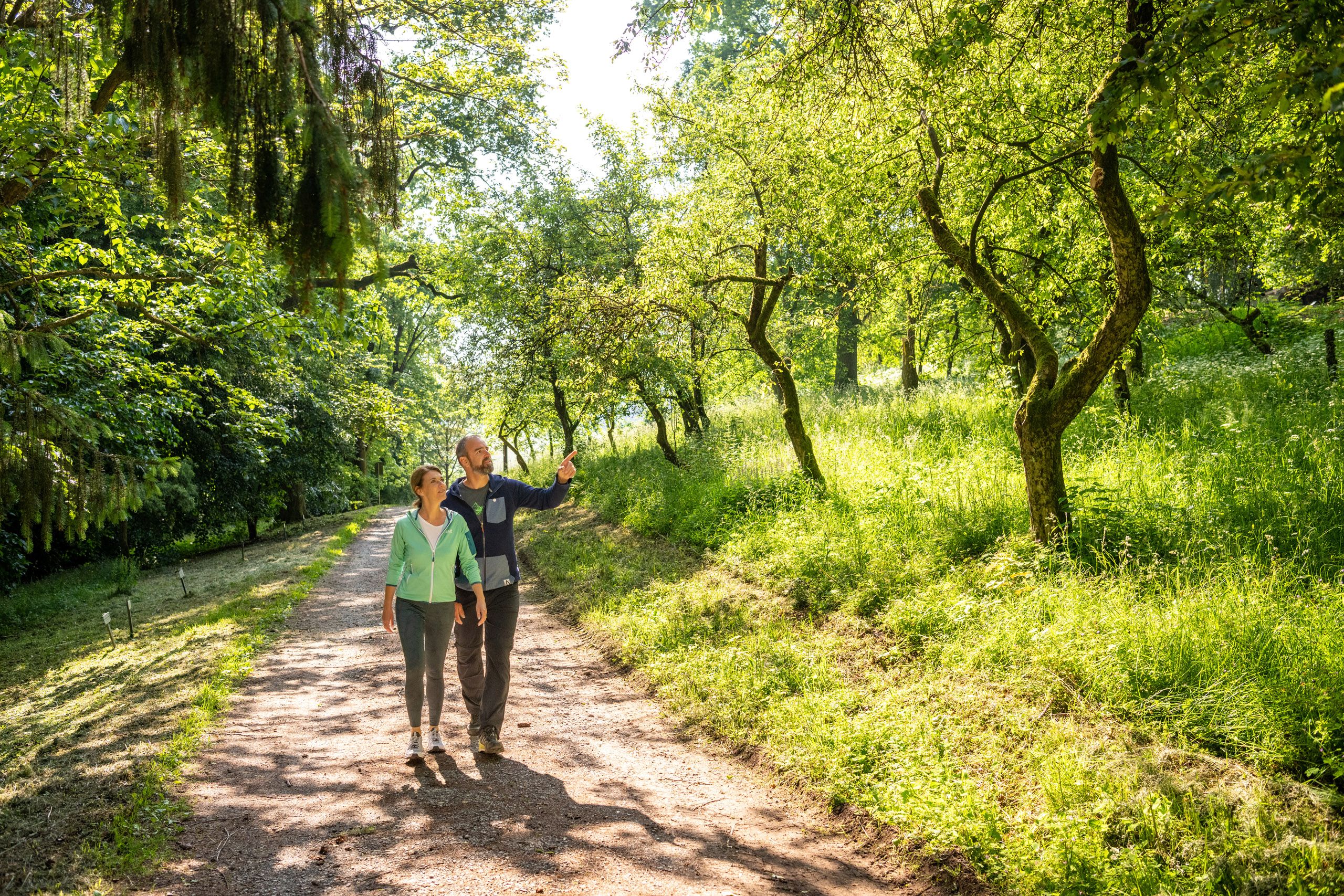 Zur Seite Buddenberg-Arboretum 