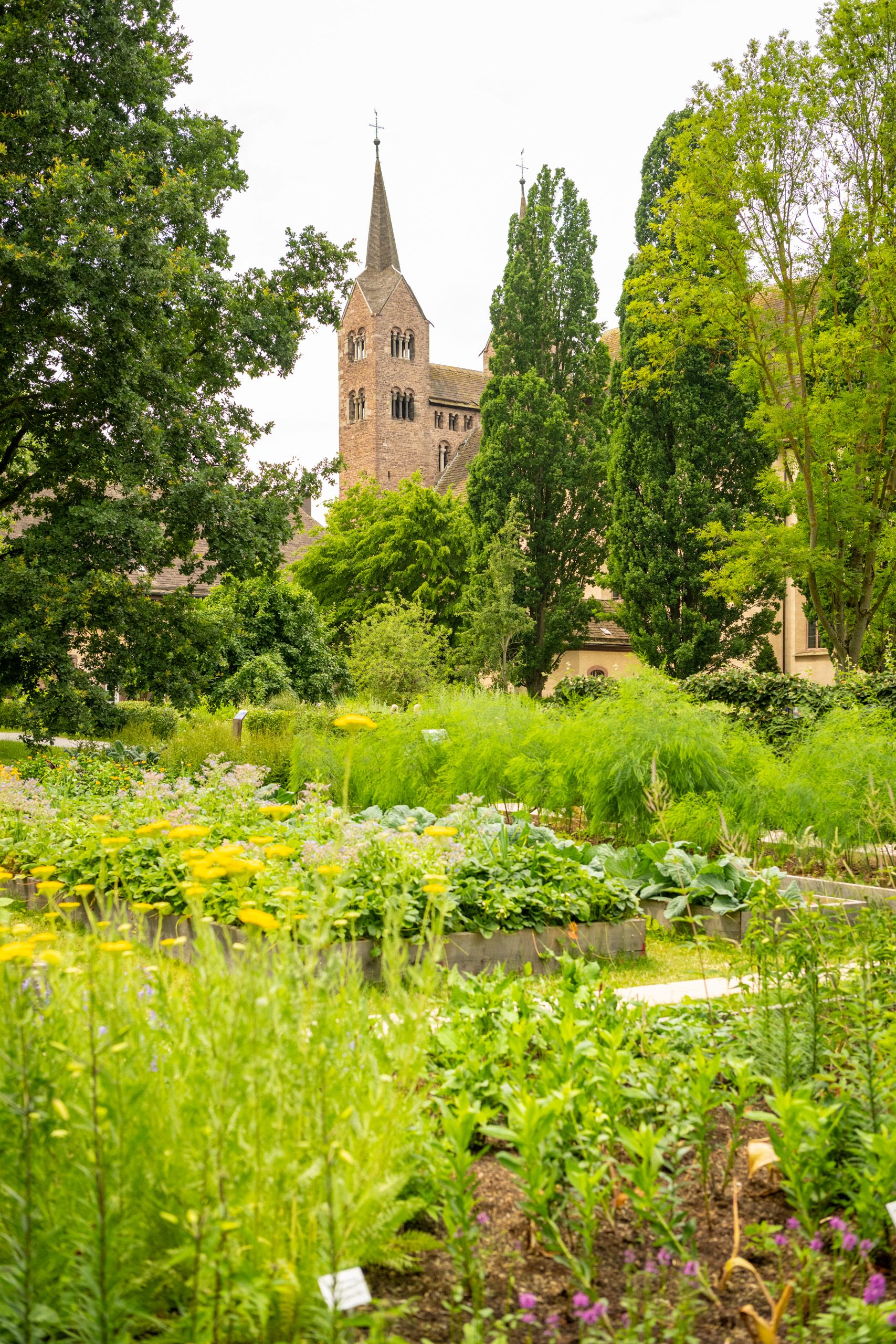 Der Remtergarten, der im Schatten des karolingischen Westwerks des ehemaligen Benediktiner Klosters Corvey liegt, ist ein Höhepunkt im Huxarium Gartenpark Höxter