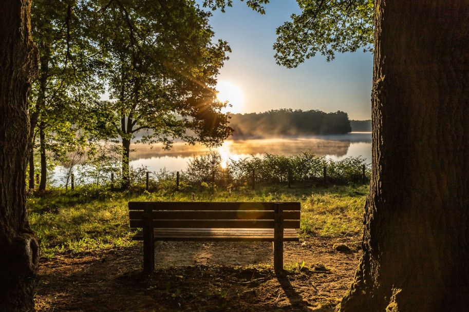 Eine Bank steht zwischen Bäumen mit Blick auf einen See bei Sonnenaufgang.