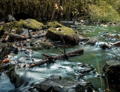 Der Silberbach fließt über Steine und Moos im Teutoburger Wald, © Tourismus NRW e.V.