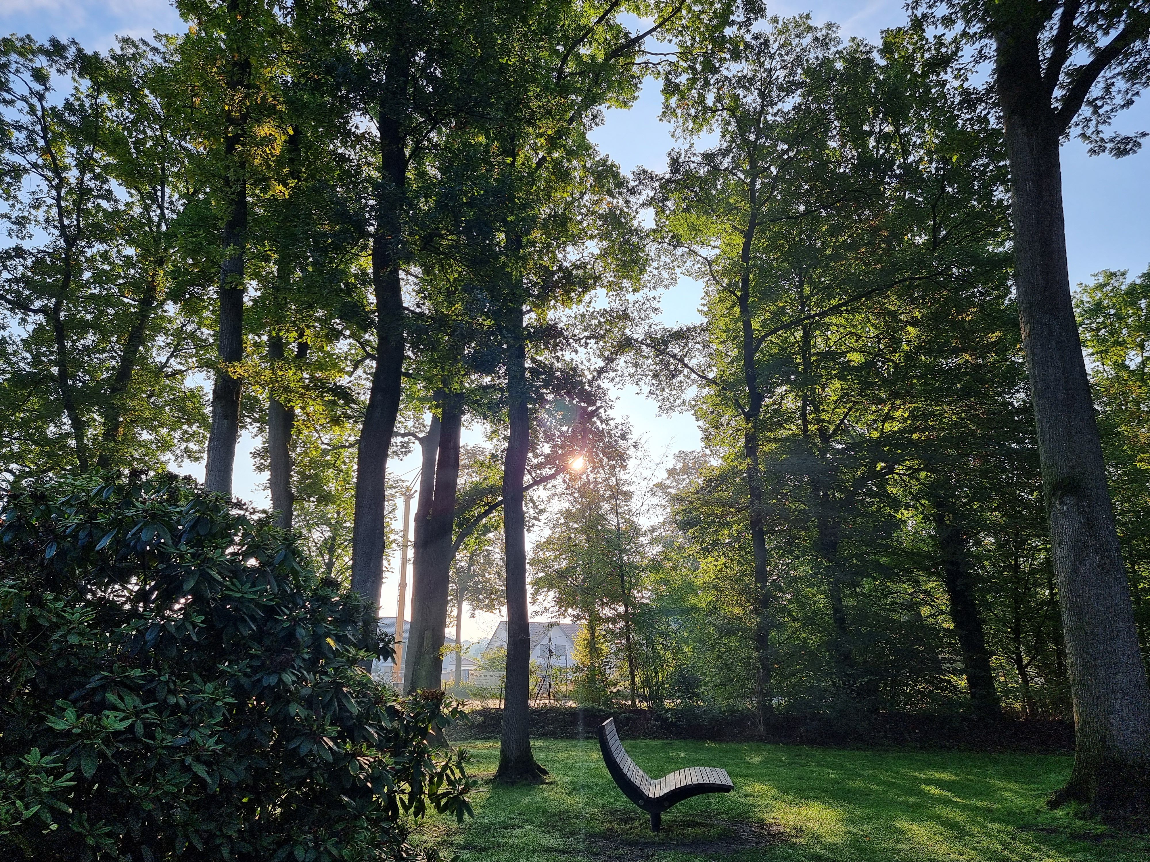 Eine Parkbank steht auf einer Wiese im Kurpark von Bad Waldliesborn, umgeben von hohen Bäumen und Sonnenlicht. Die Szenerie wirkt ruhig und einladend.