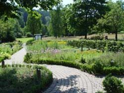 Ein gepflegter Kräutergarten mit gepflasterten Wegen und verschiedenen Pflanzen im Kurpark Brilon.