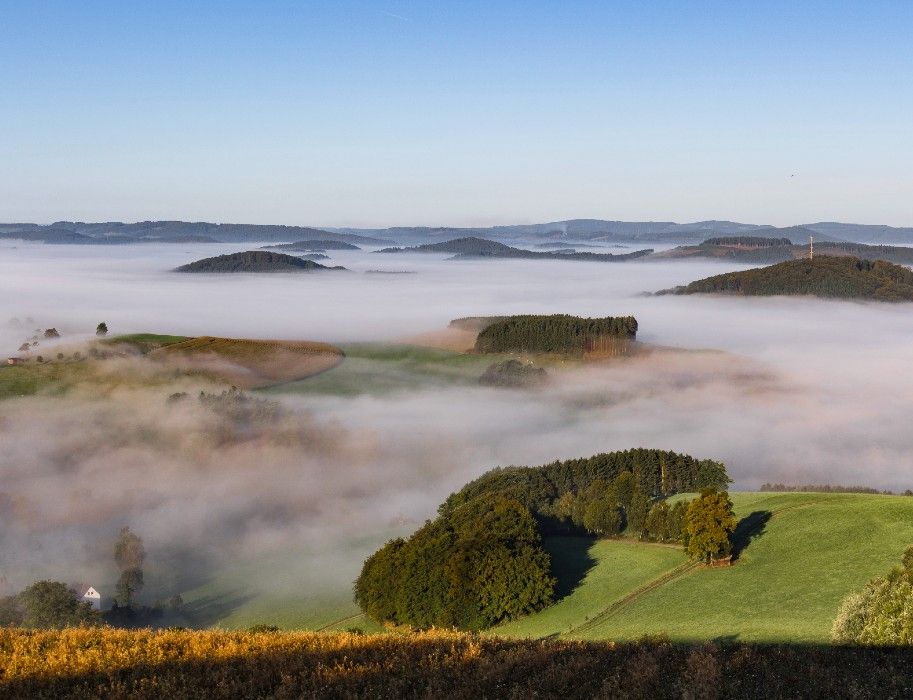Neblige Landschaft mit Hügeln und Wäldern in Altenilpe.