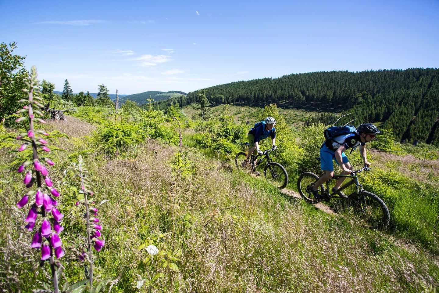 Zwei Mountainbiker fahren auf einem schmalen Pfad durch eine grüne Landschaft mit Hügeln und Wäldern im Hintergrund.