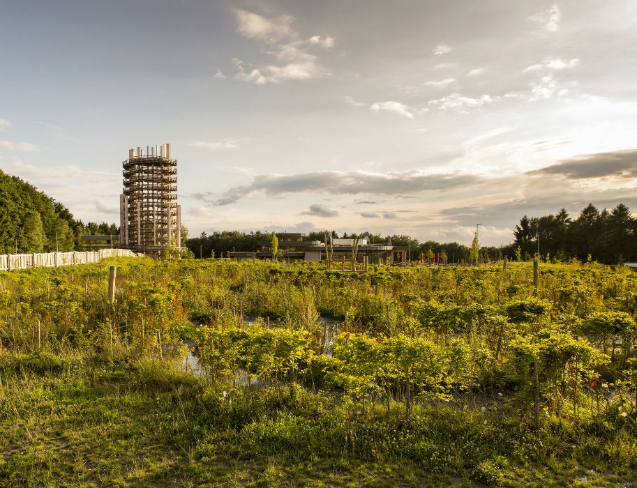 Ein hoher Aussichtsturm im Naturpark Panarbora, umgeben von grünen Wiesen und dichten Wäldern unter einem bewölkten Himmel.