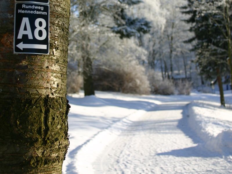 Zur Seite Winterwandern am Hennesee