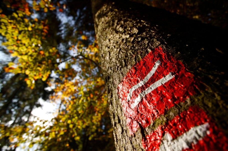 Zur Seite Rothaarsteig  - Die Klassische