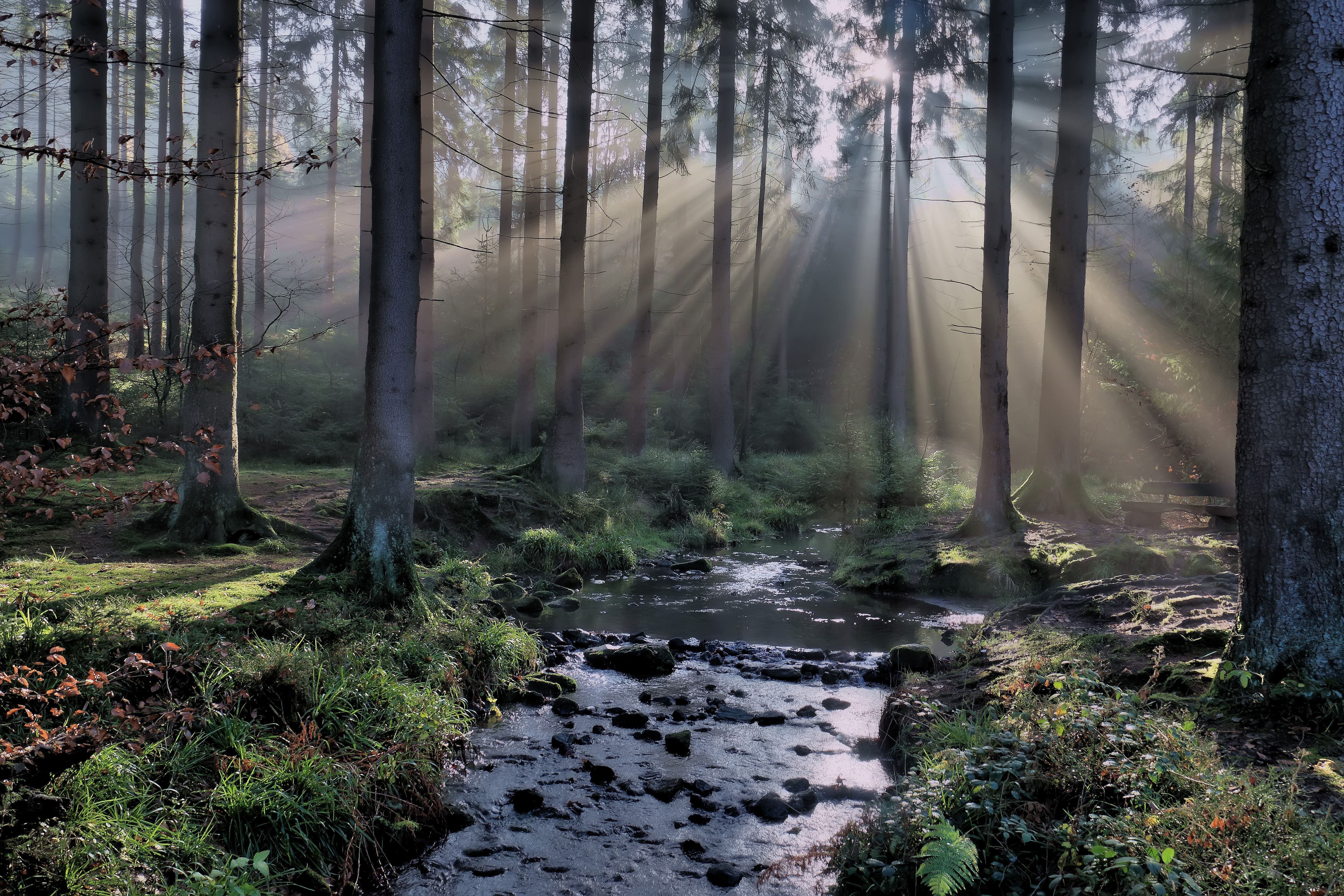 Horn-Silberbachtal-Teutoburger Wald-LTM GmbH-Falko Sieker.jpg