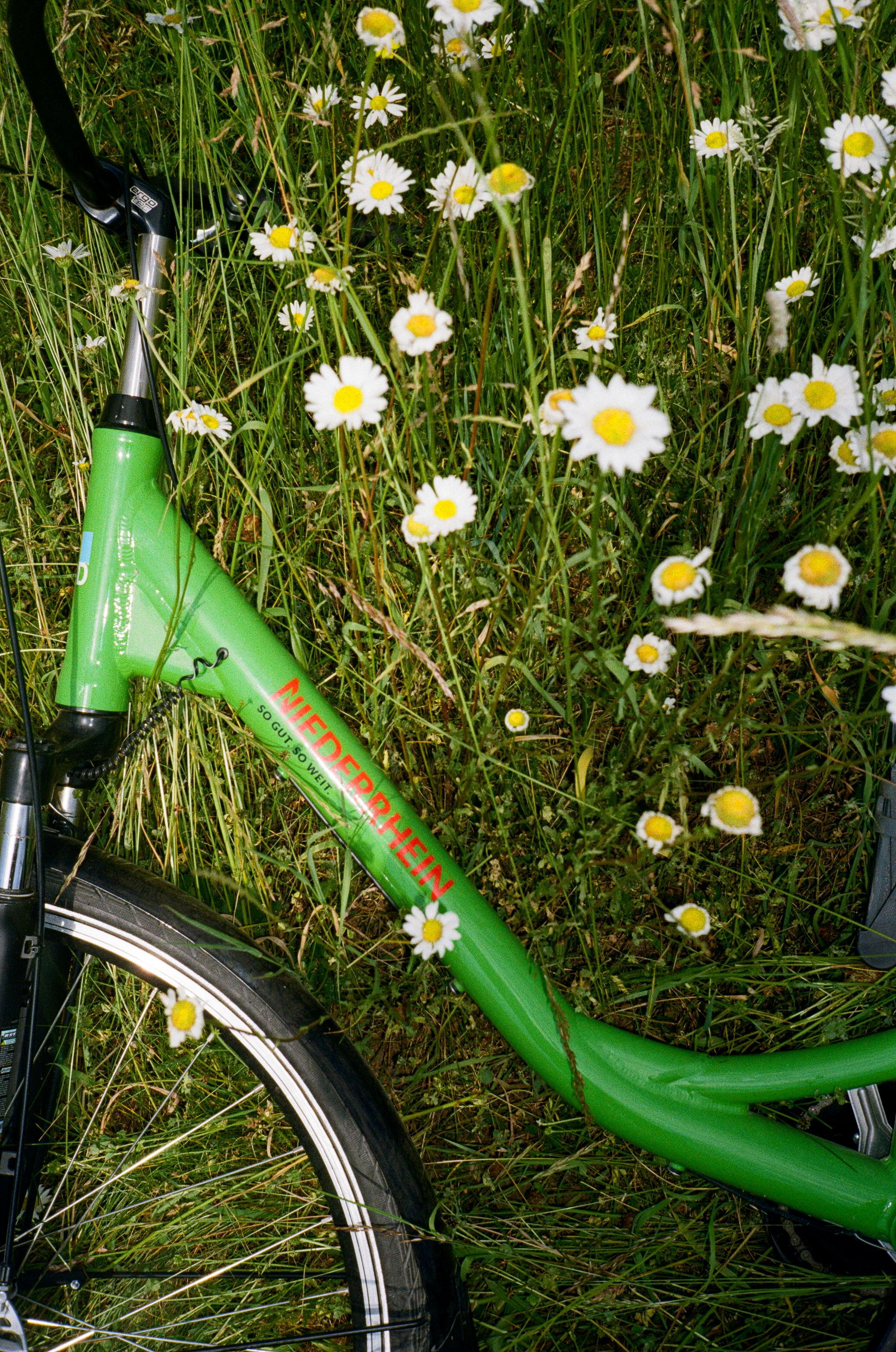 Grünes Fahrrad vom Niederrhein liegt auf einer Wiese mit Blumen.