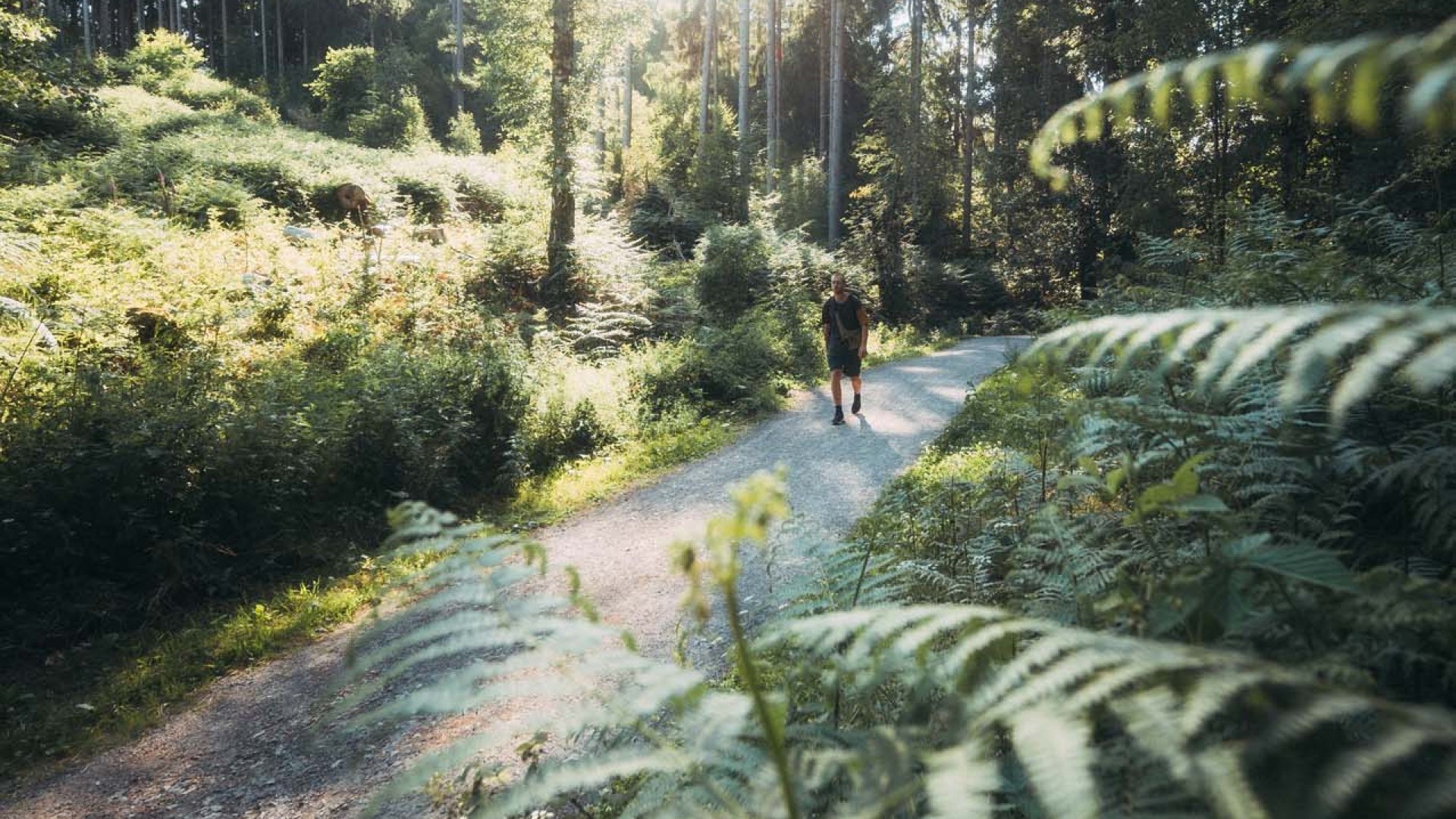 Spazieren gehen im Aachener Wald, © Johannes Höhn