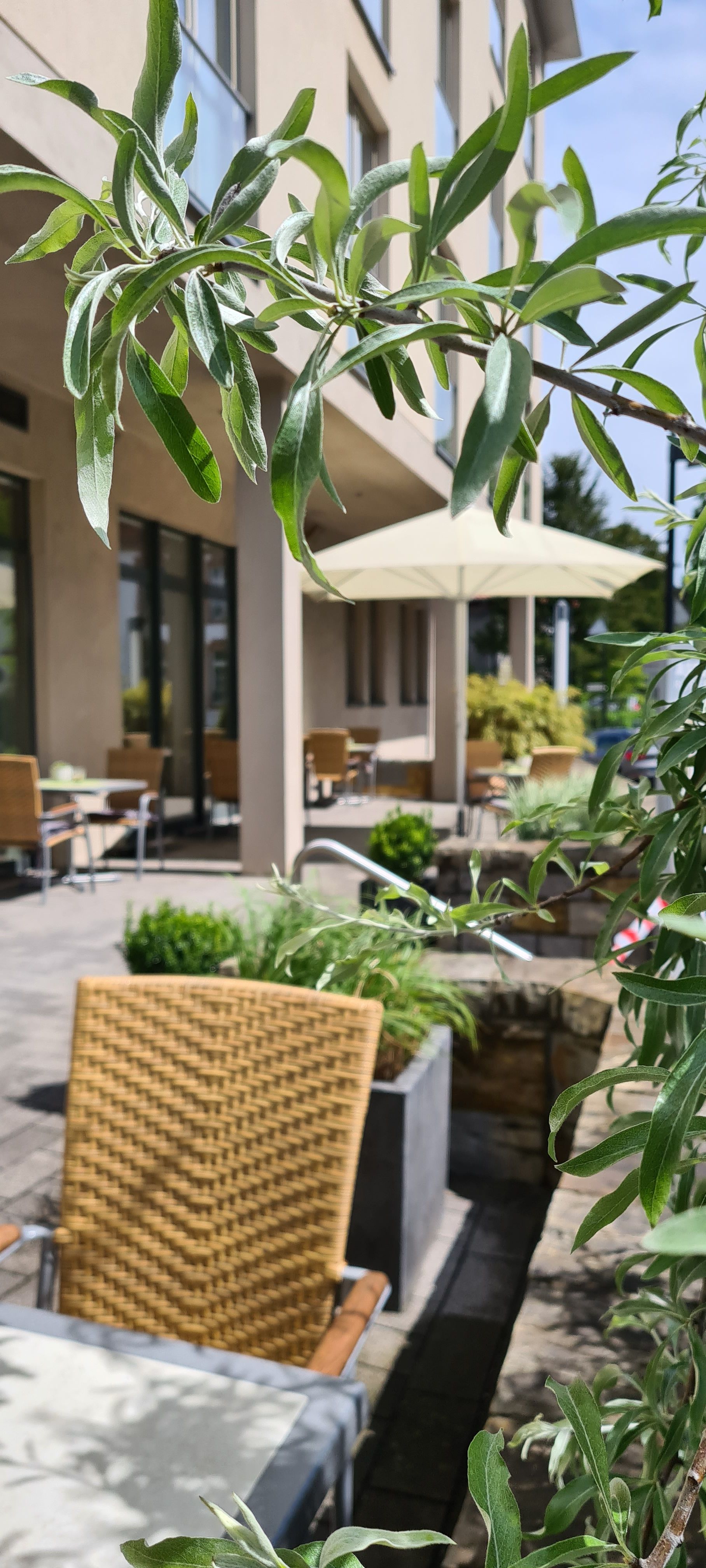 Hotel Aspethera - Terrasse