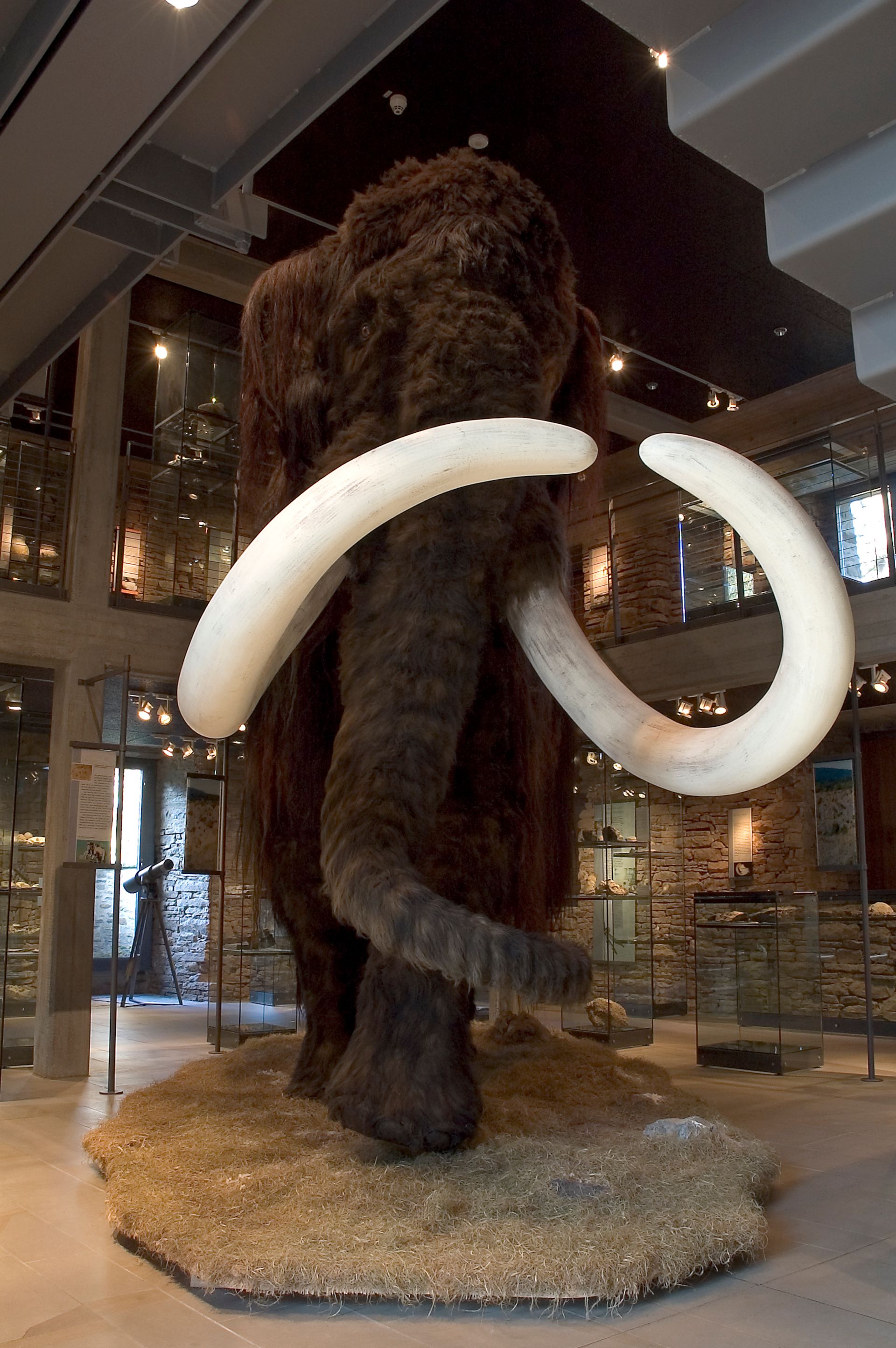 Ein meterhohes Mammut empfängt die Besuchenden aller Altersgruppen im Wasserschloss Werdringen