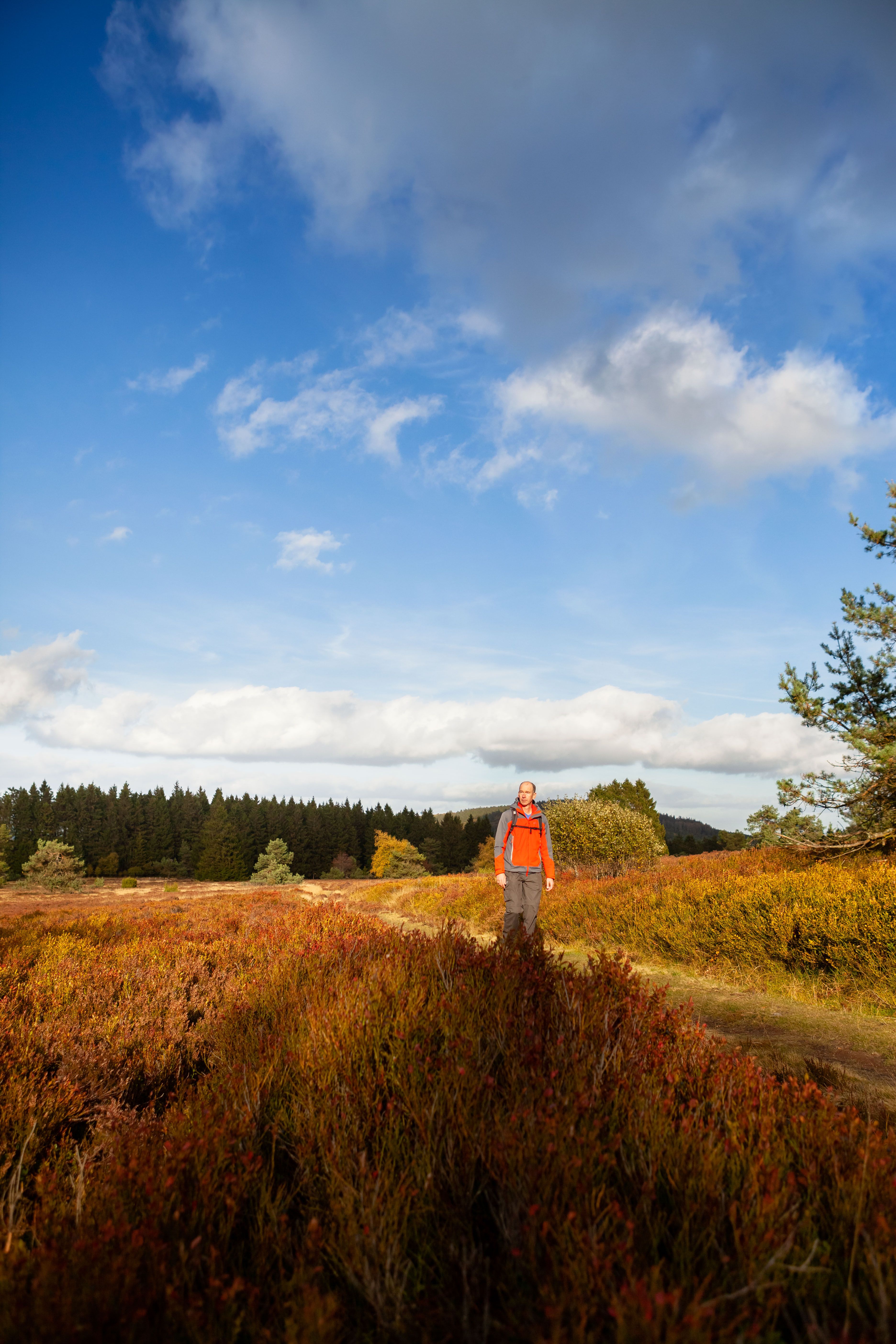 Wanderer genießt Herbstsonne in der Hochheide