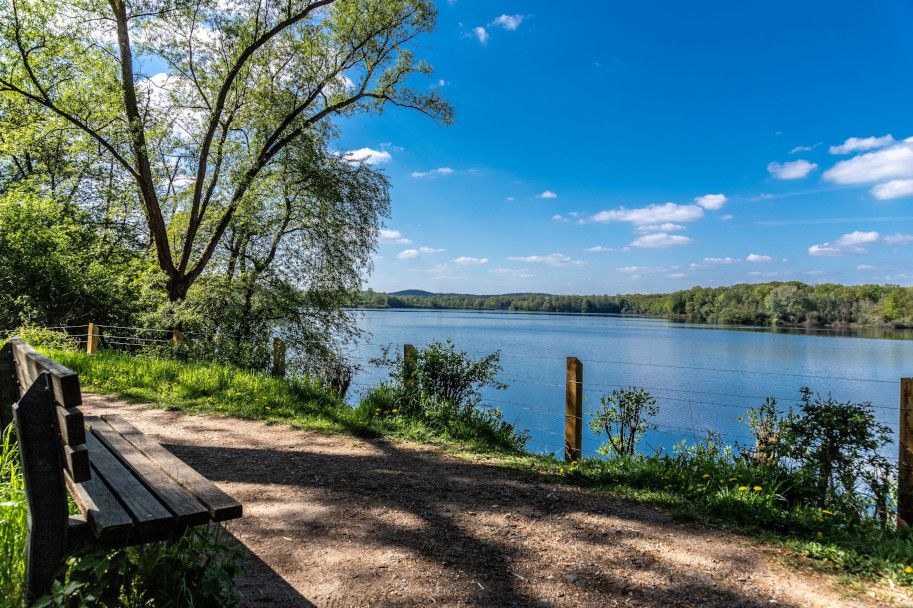 Der Hullerner See mit einer Bank im Vordergrund, umgeben von Bäumen und einem klaren blauen Himmel.