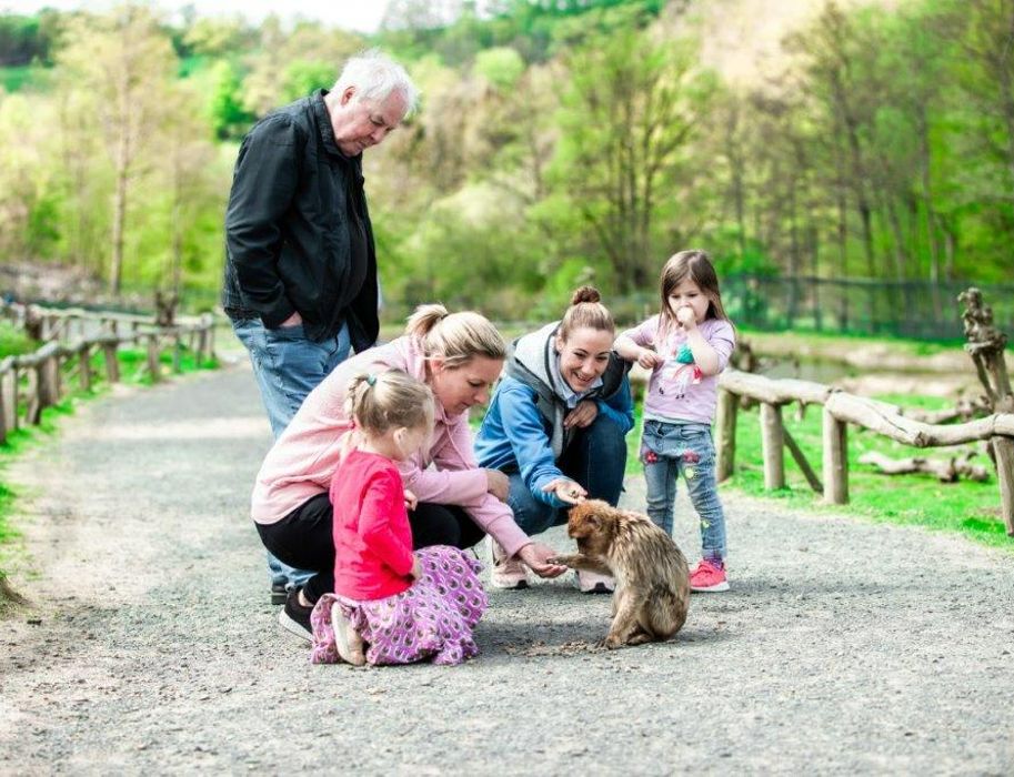 Die Gäste kommen den Tieren im Affen- und Vogelpark Eckenhagen ganz nah.
