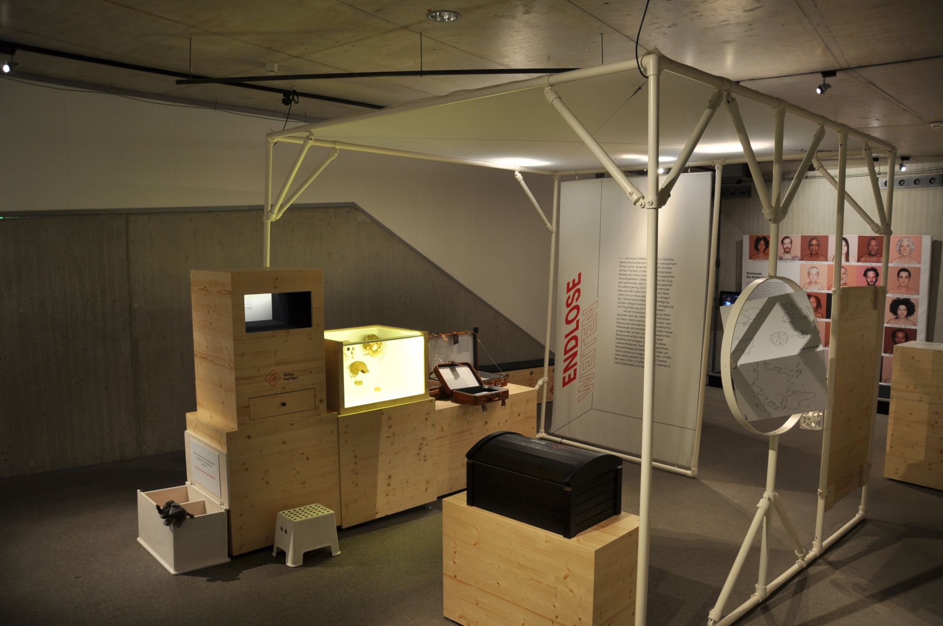 Vier besonders bedeutsame Migrationsereignisse der Menschheitsgeschichte beleuchtet die Schau "Zwei Millionen Jahre Migration"